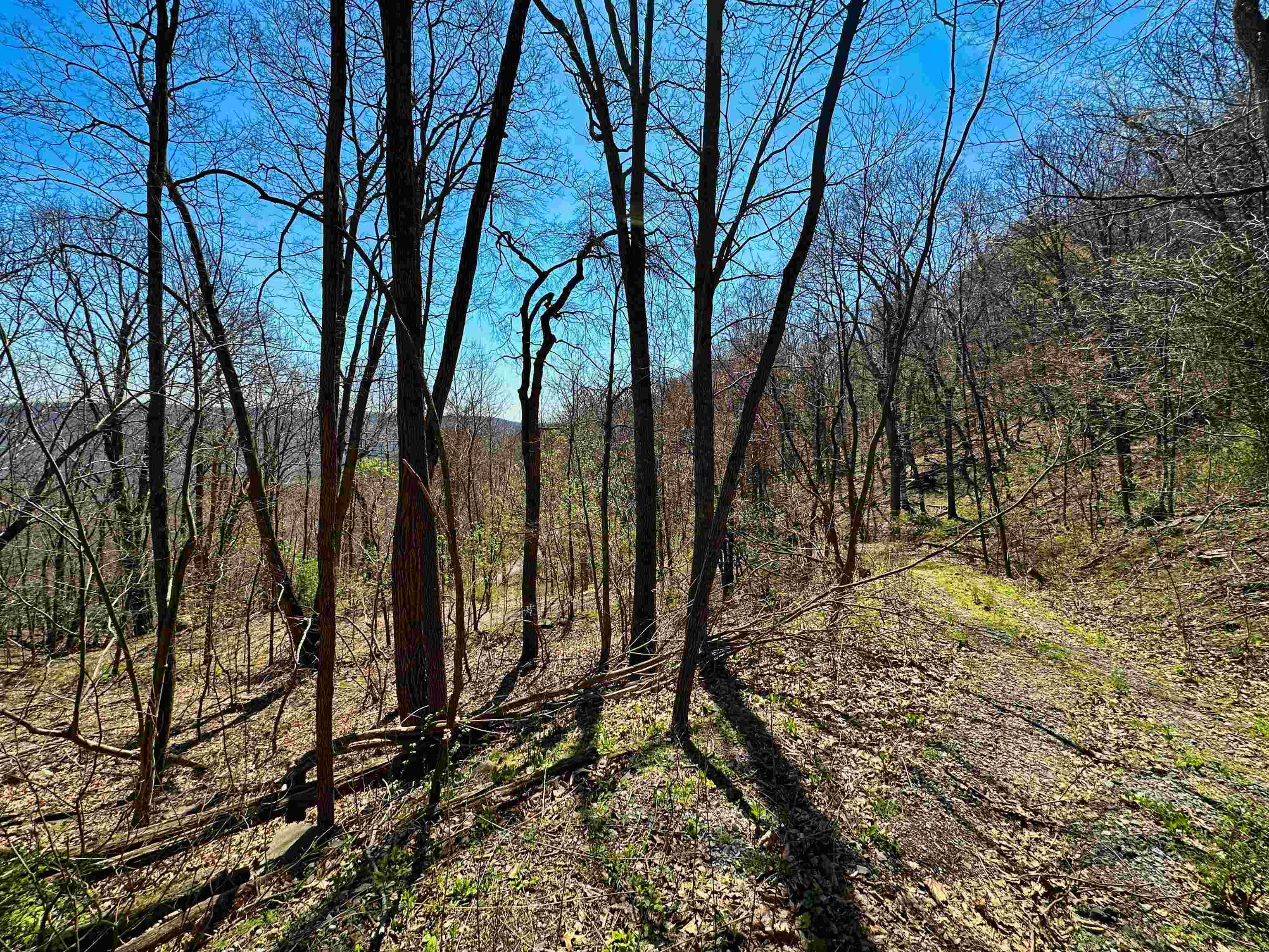 Tbd Mountain Lake Road Newport VA 24128