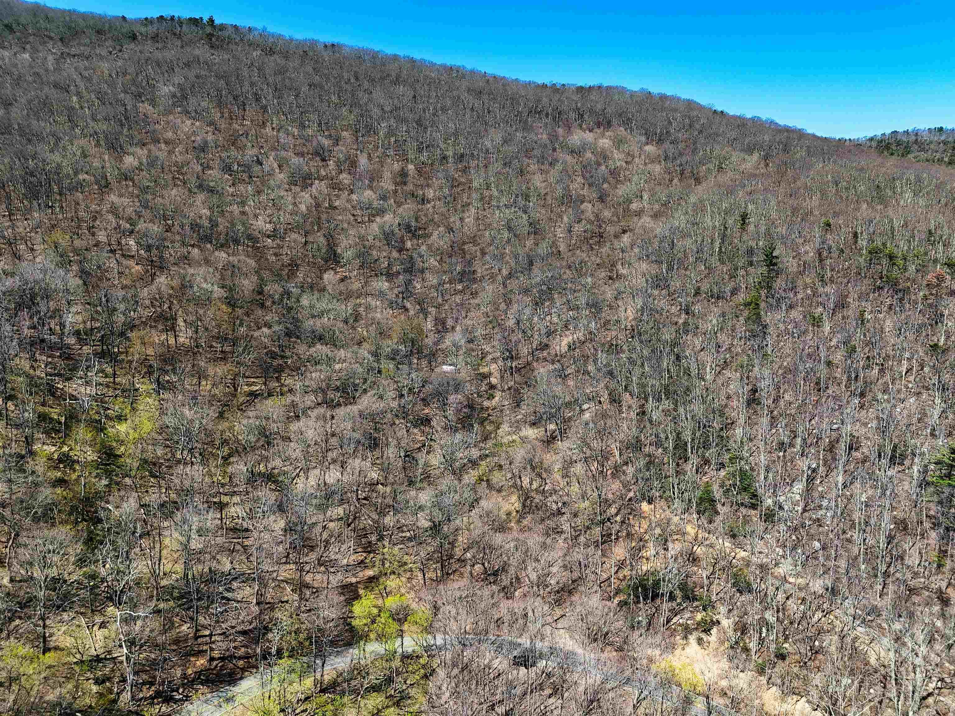 Tbd Mountain Lake Road Newport VA 24128