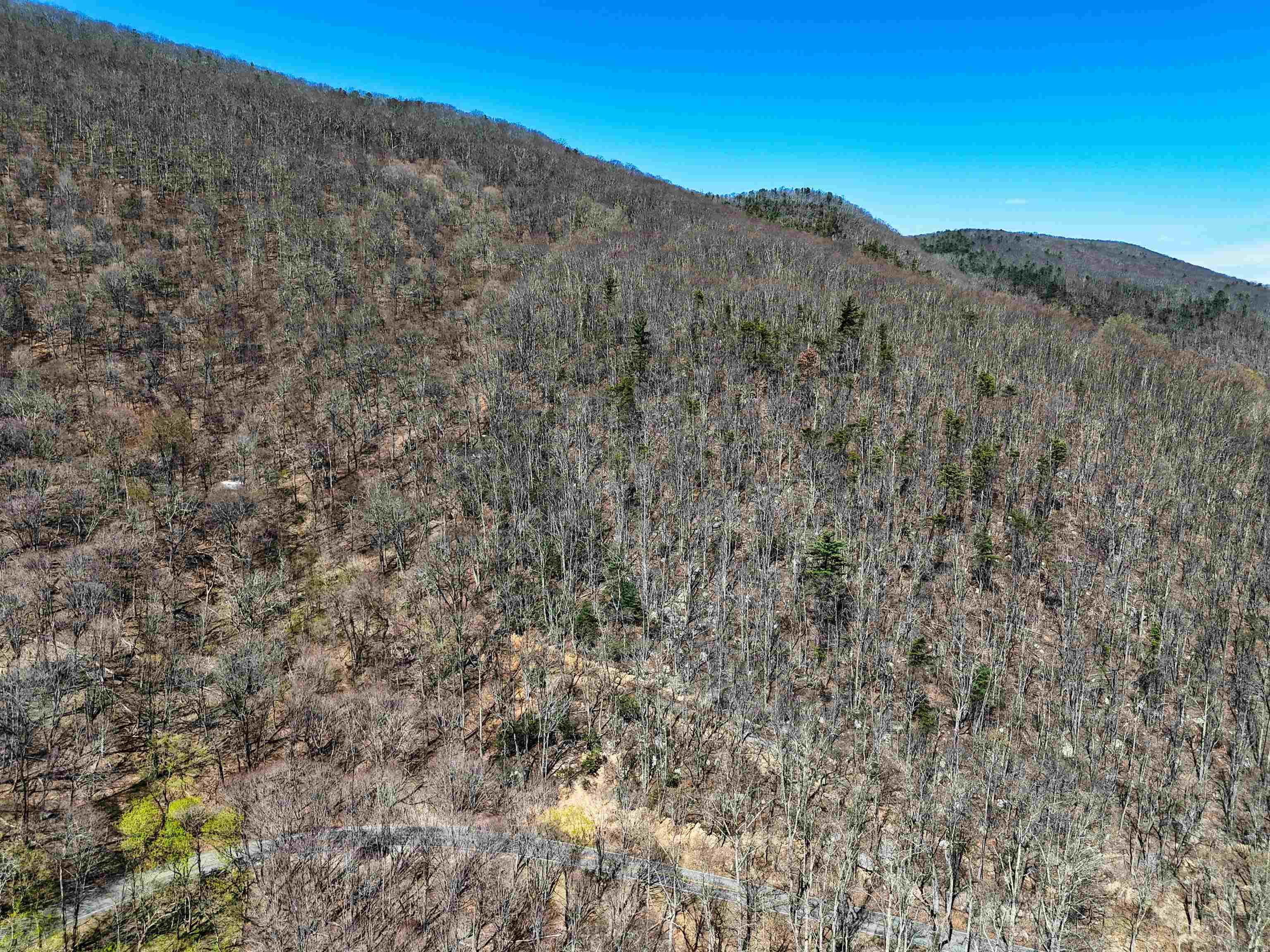 Tbd Mountain Lake Road Newport VA 24128