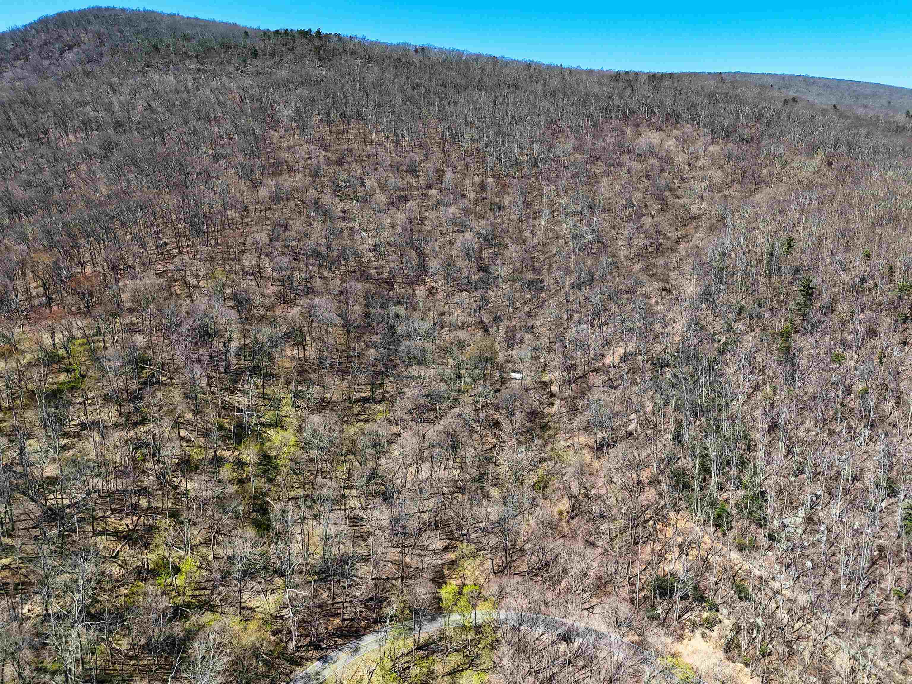 Tbd Mountain Lake Road Newport VA 24128