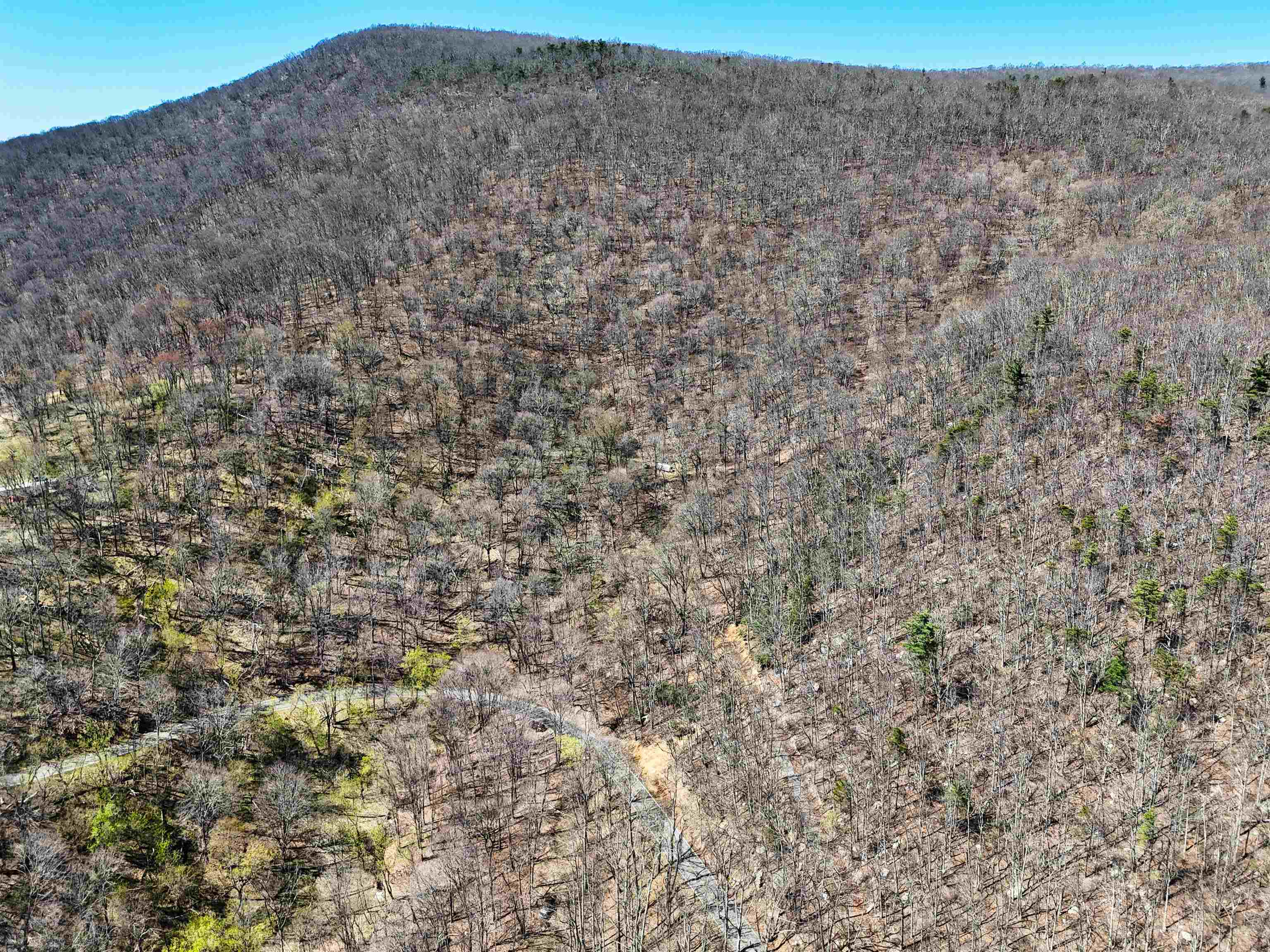 Tbd Mountain Lake Road Newport VA 24128