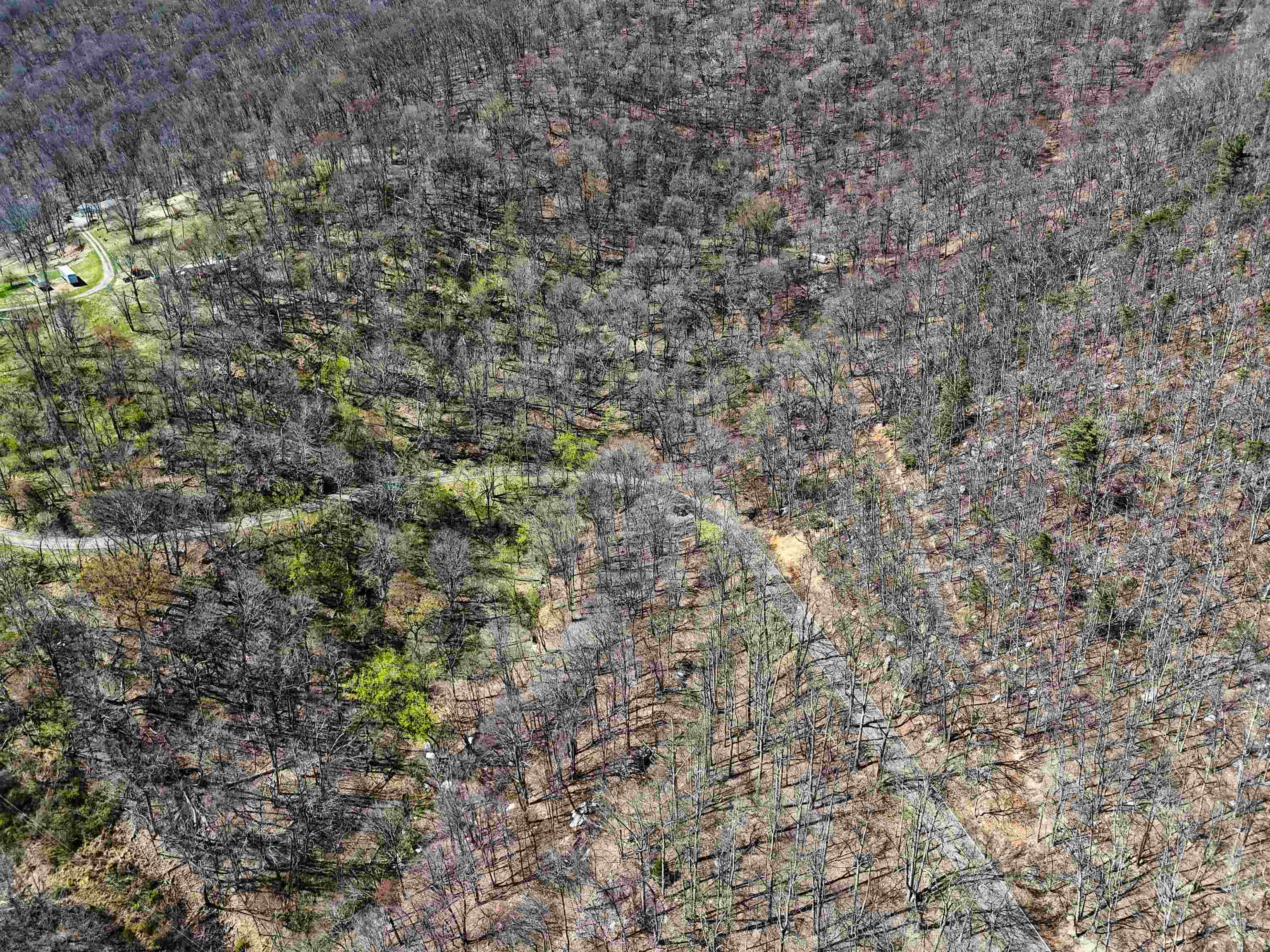 Tbd Mountain Lake Road Newport VA 24128