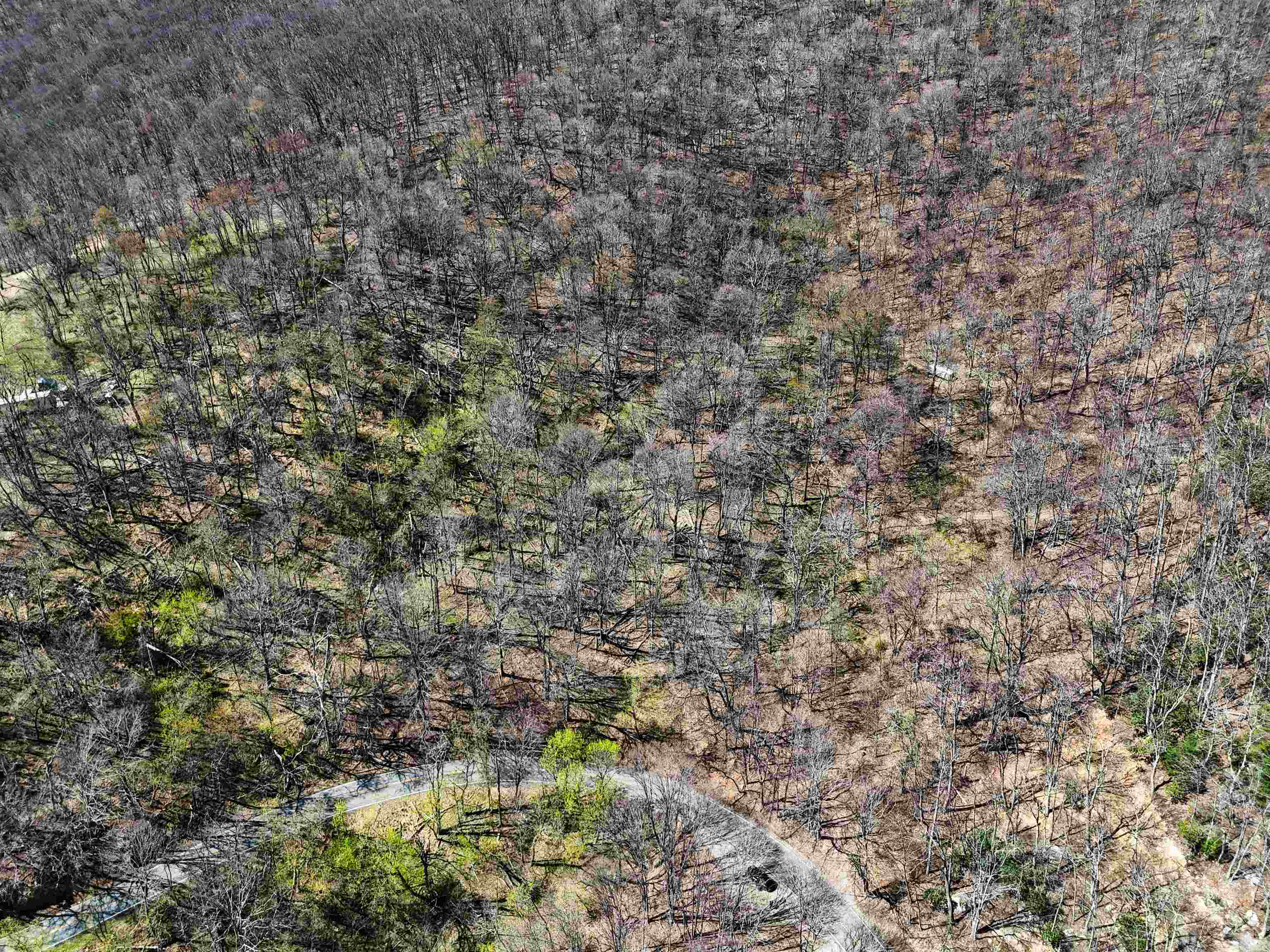 Tbd Mountain Lake Road Newport VA 24128