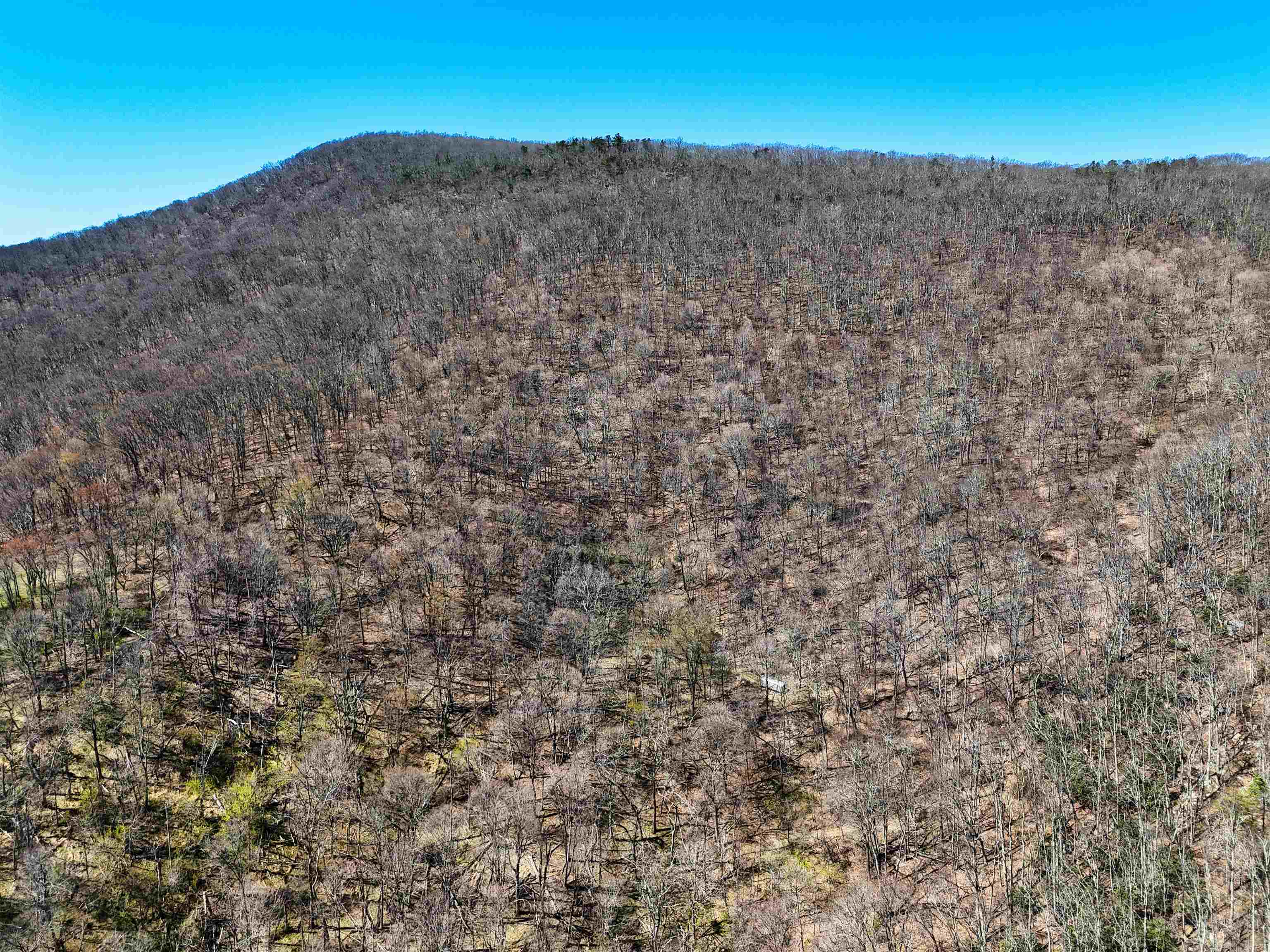 Tbd Mountain Lake Road Newport VA 24128