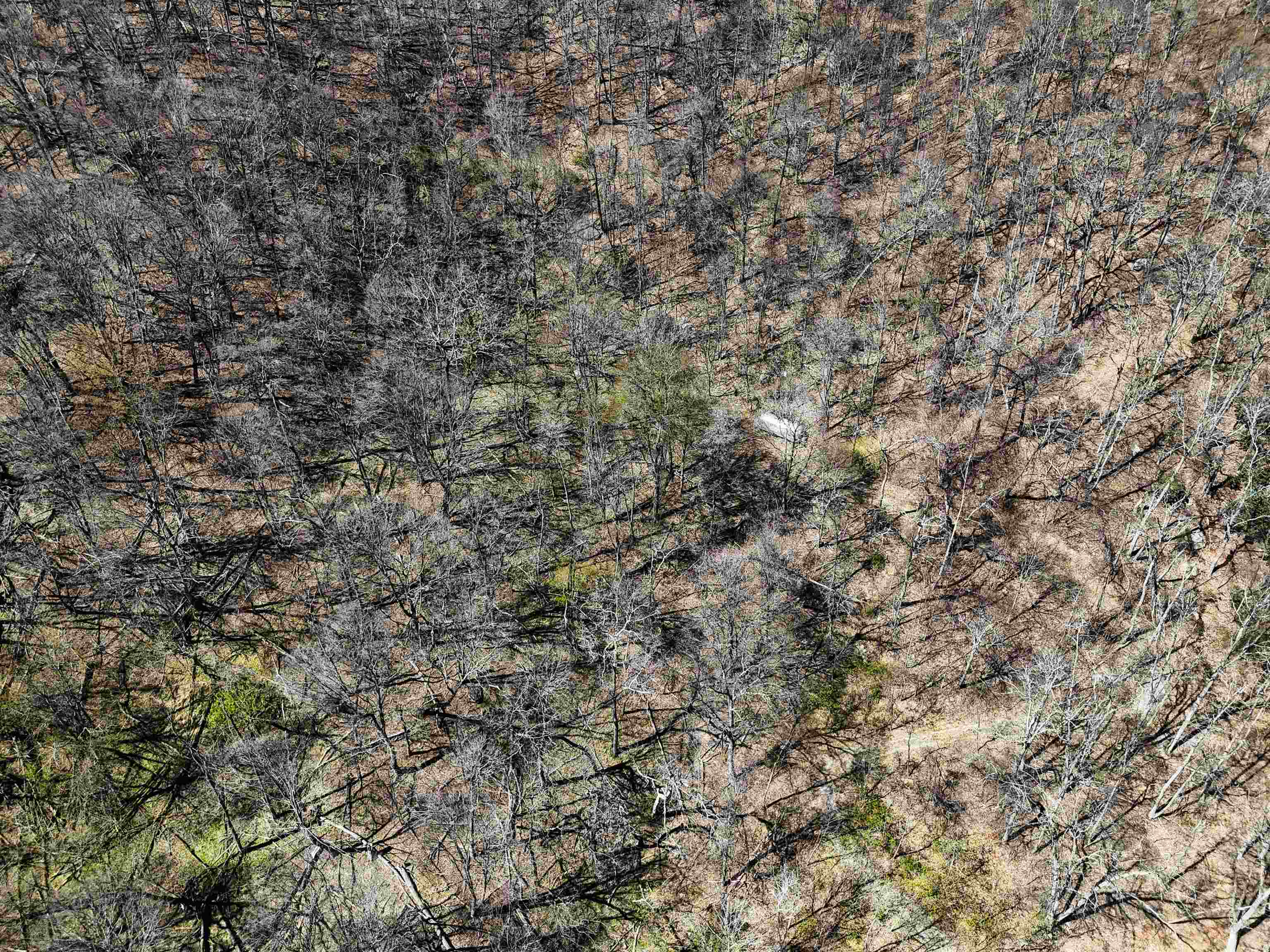 Tbd Mountain Lake Road Newport VA 24128