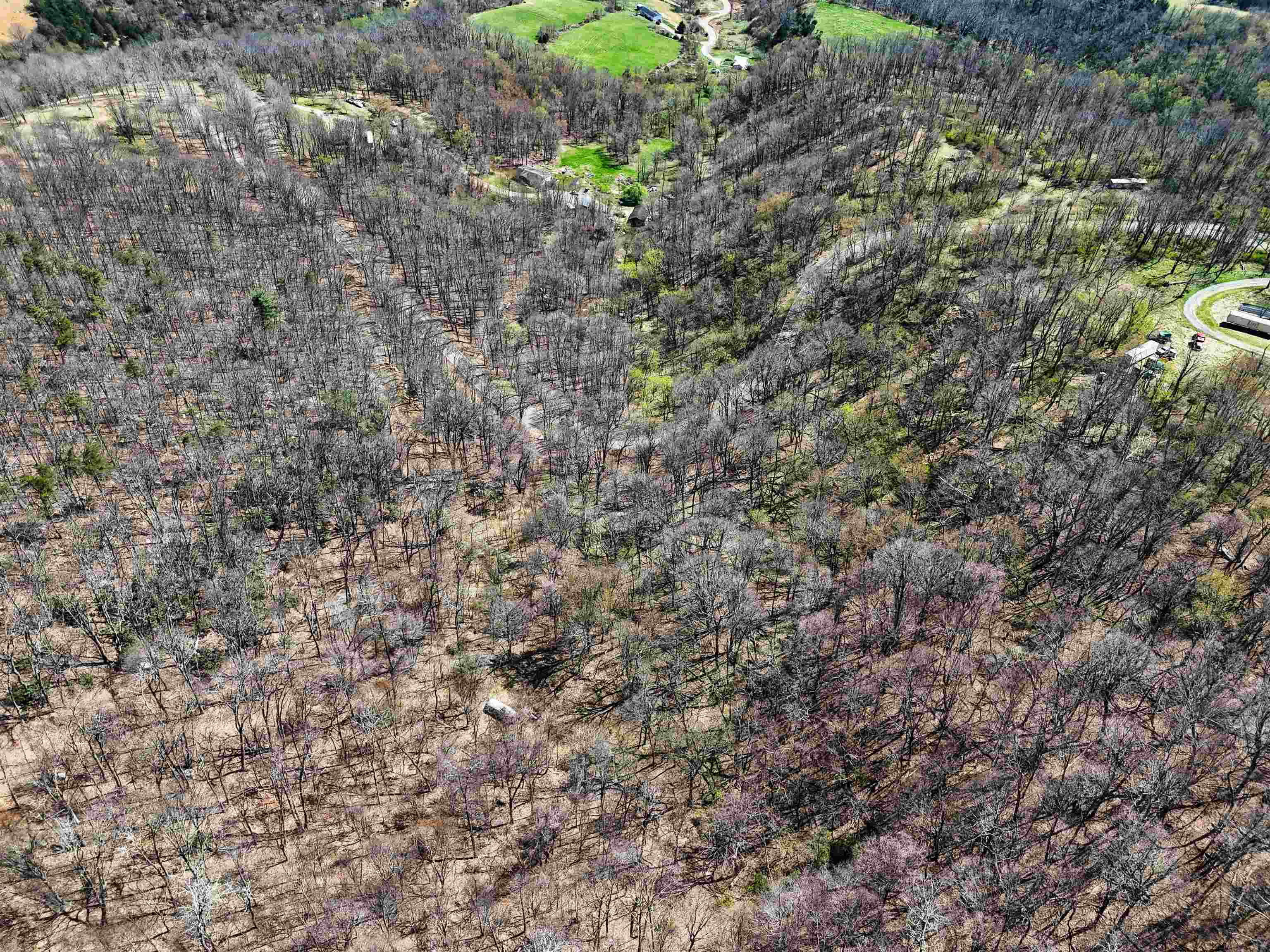 Tbd Mountain Lake Road Newport VA 24128