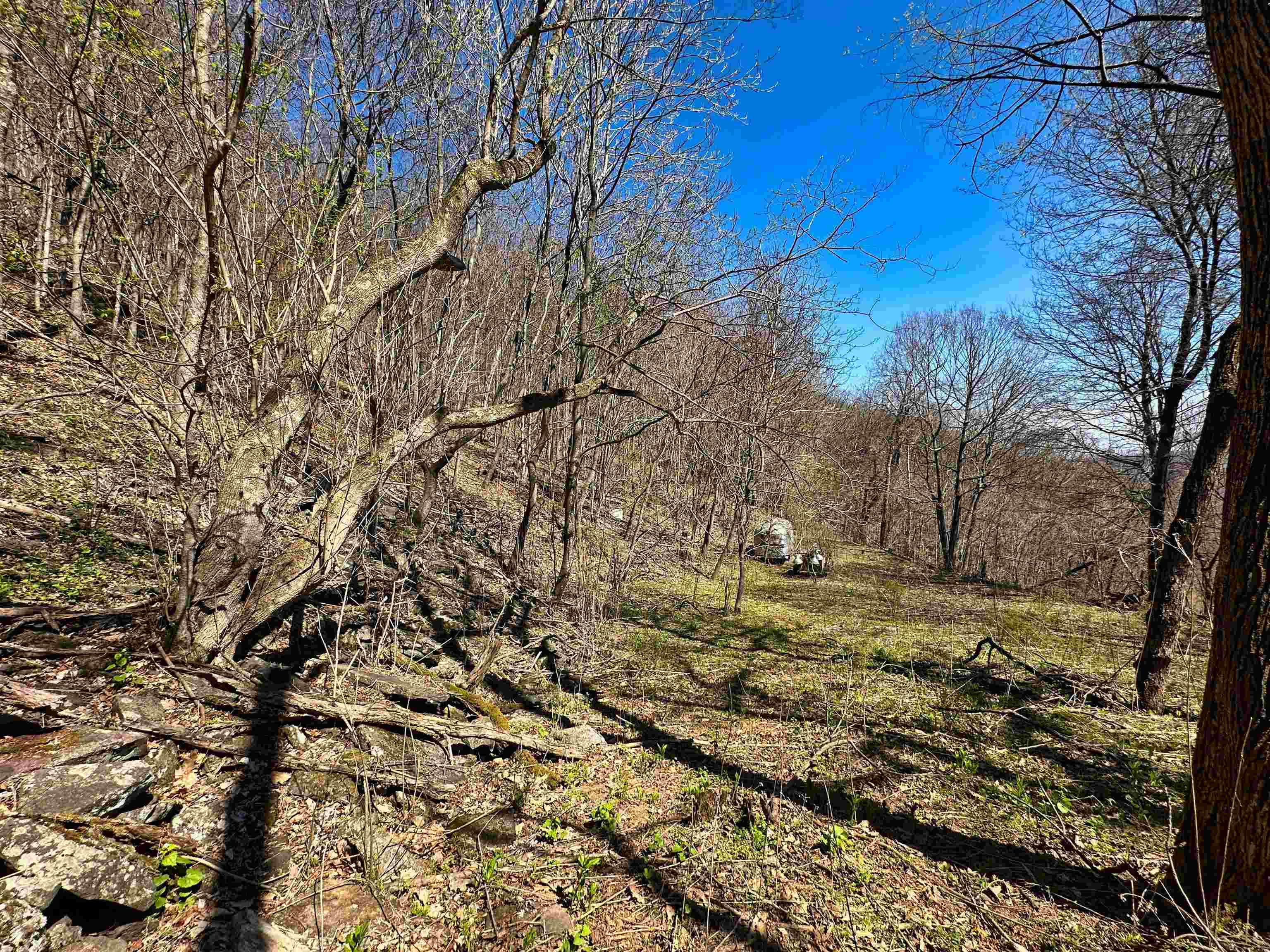 Tbd Mountain Lake Road Newport VA 24128