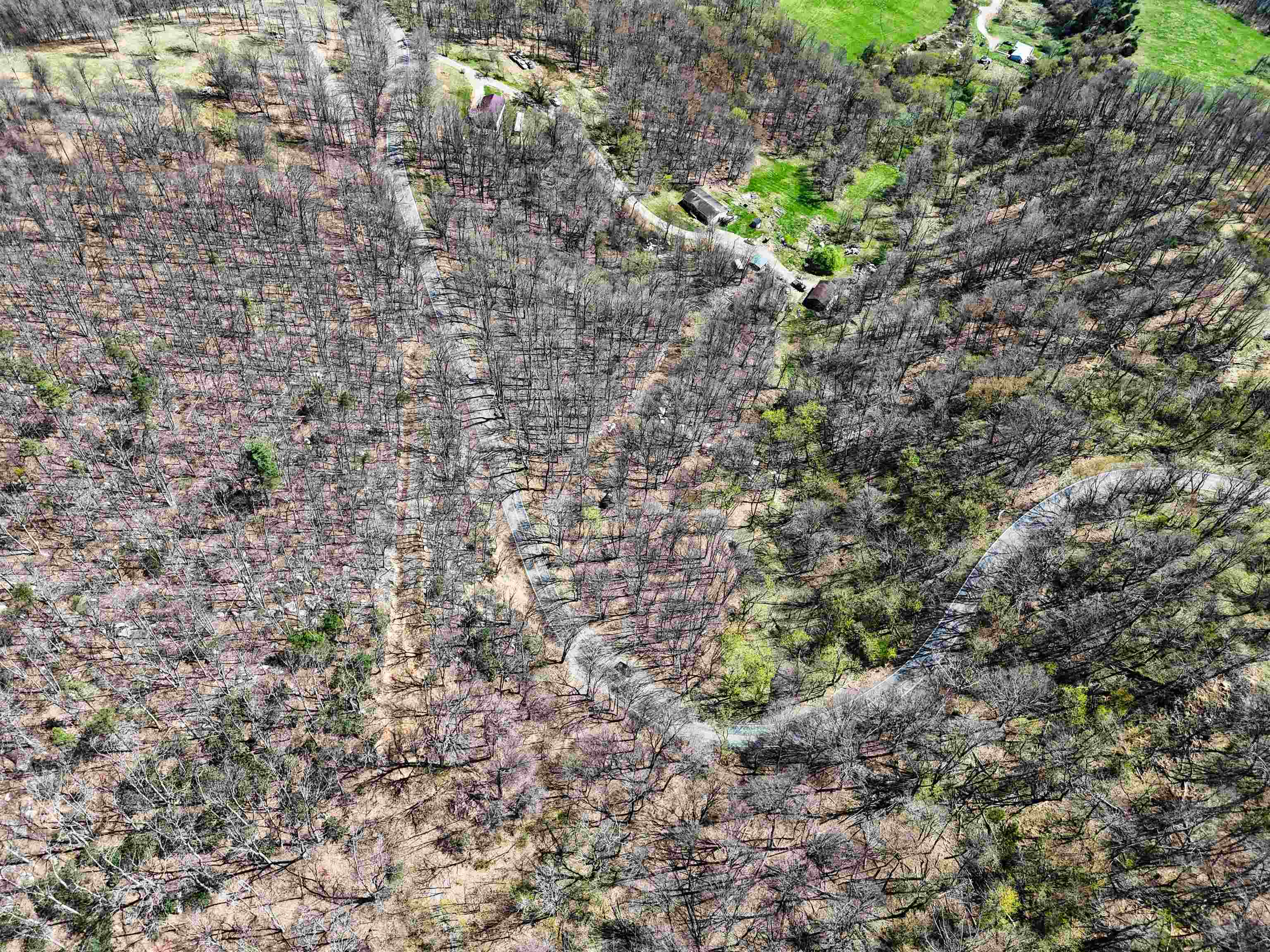 Tbd Mountain Lake Road Newport VA 24128