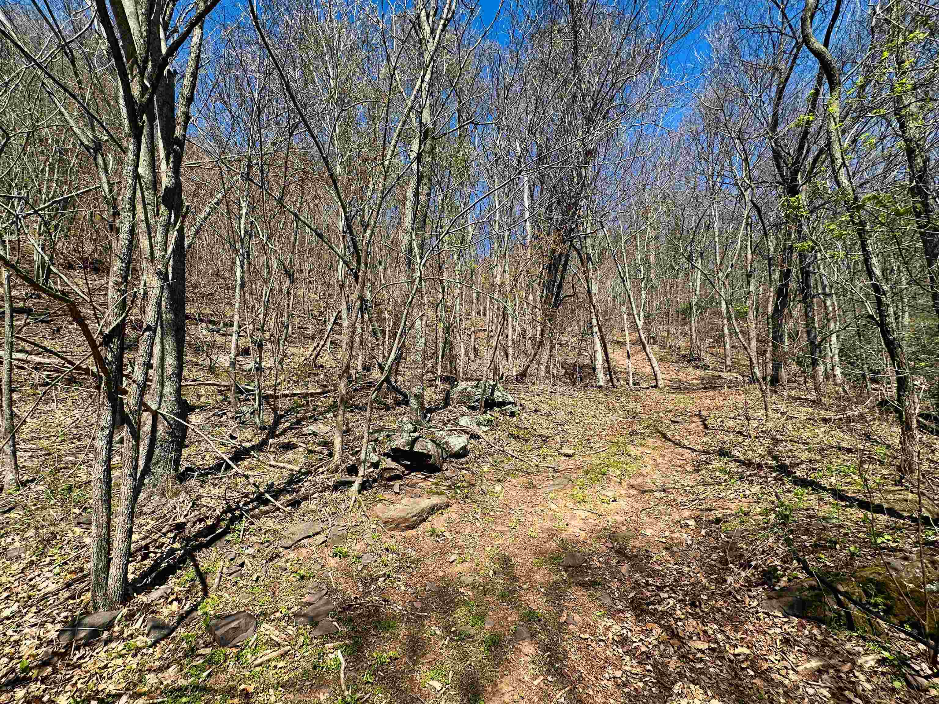 Tbd Mountain Lake Road Newport VA 24128