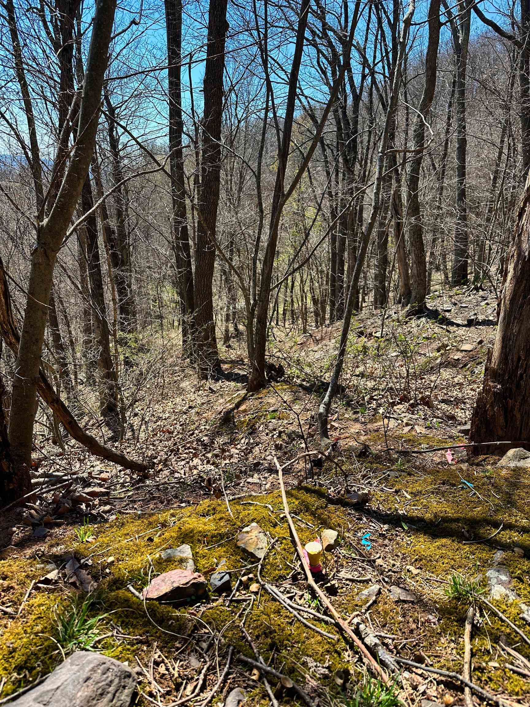 Tbd Mountain Lake Road Newport VA 24128