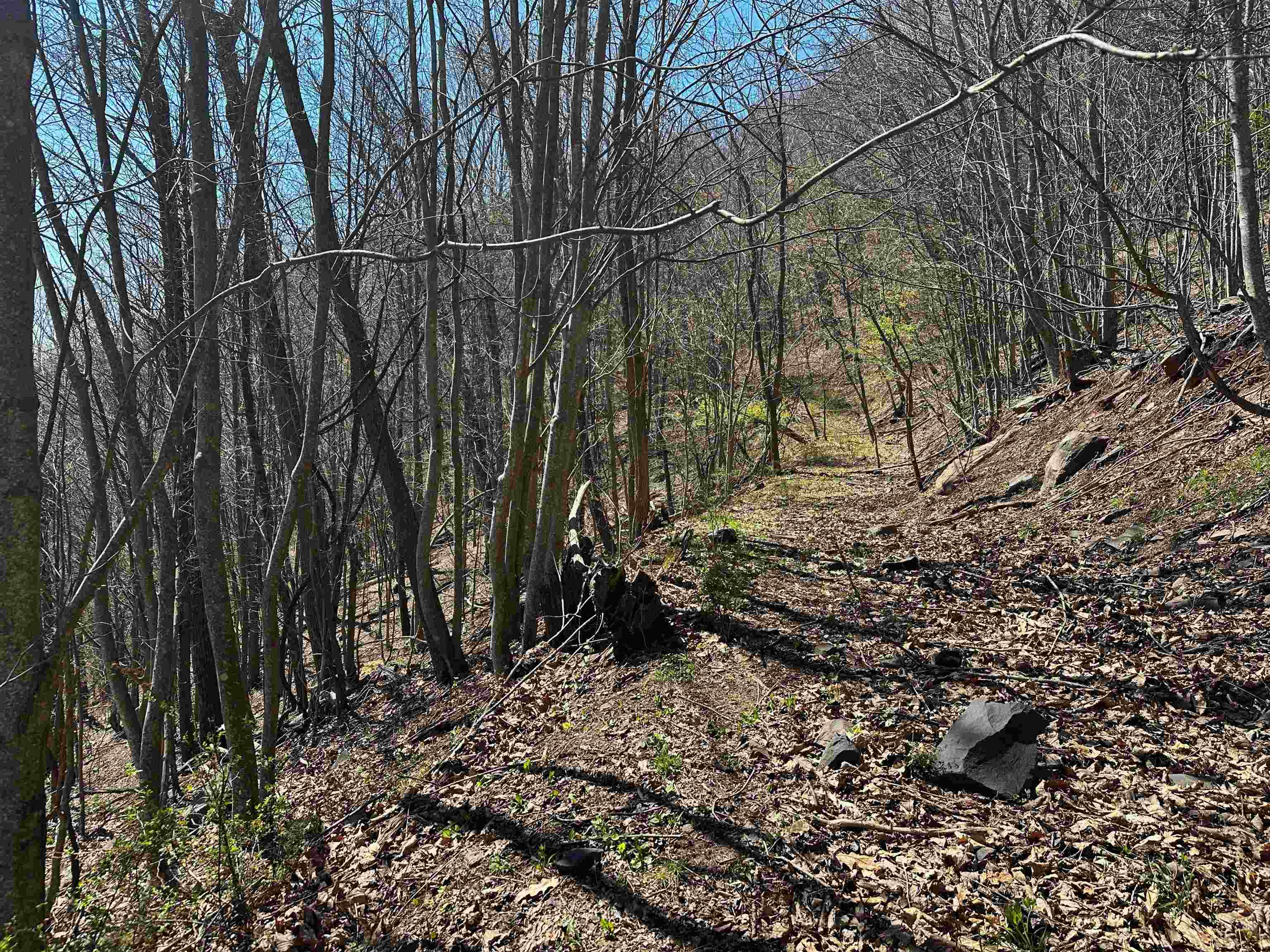 Tbd Mountain Lake Road Newport VA 24128