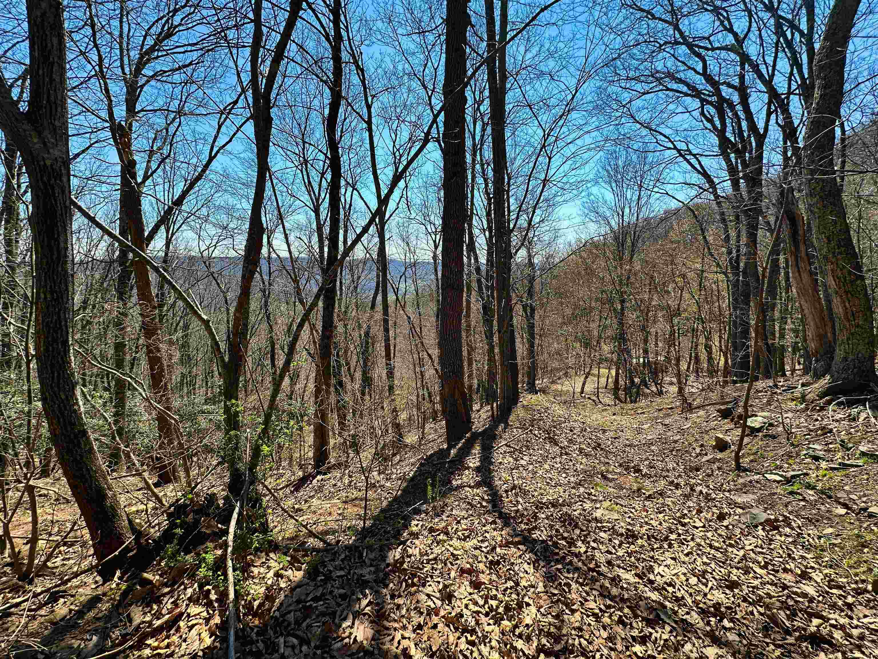 Tbd Mountain Lake Road Newport VA 24128