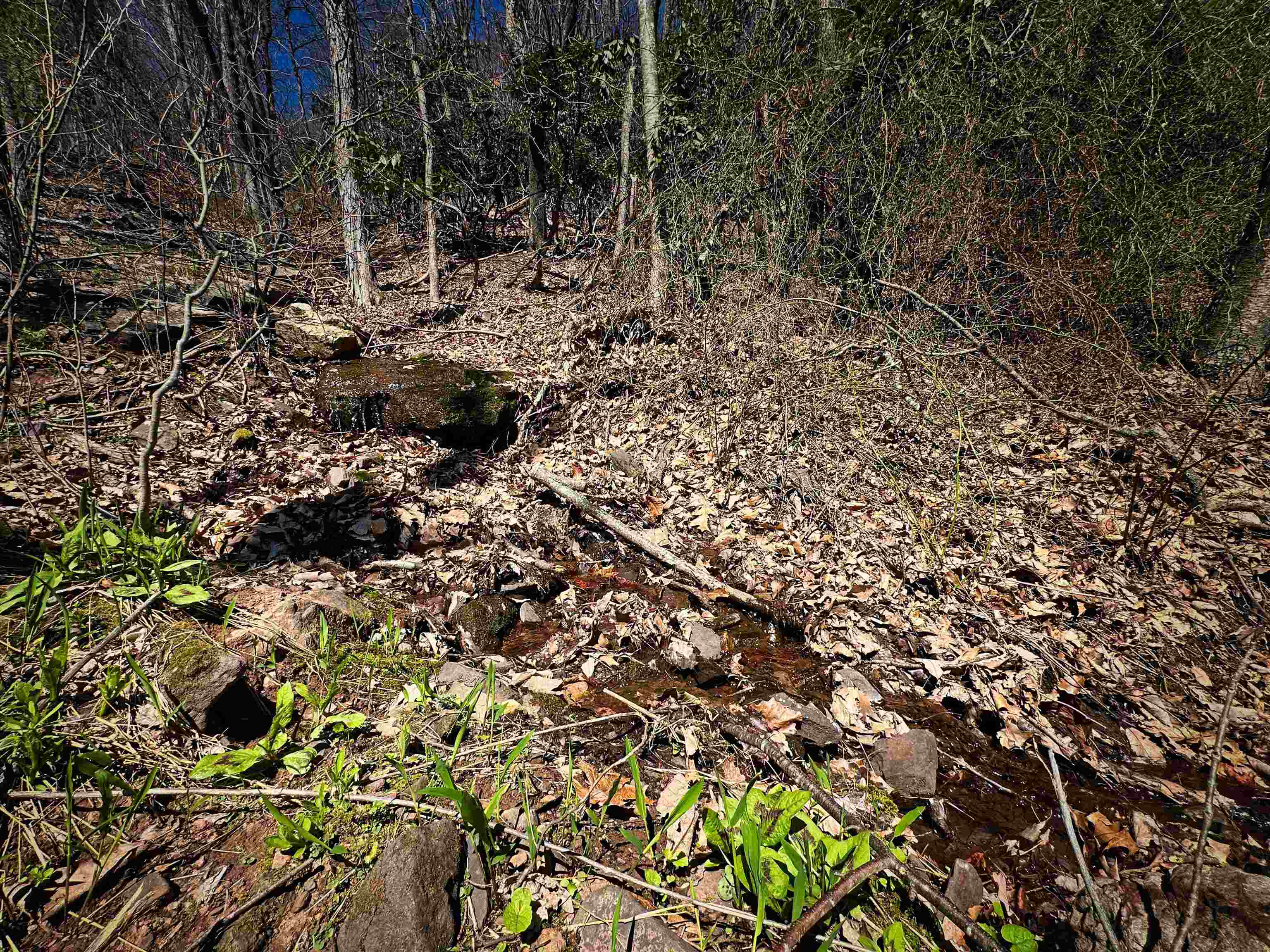 Tbd Mountain Lake Road Newport VA 24128