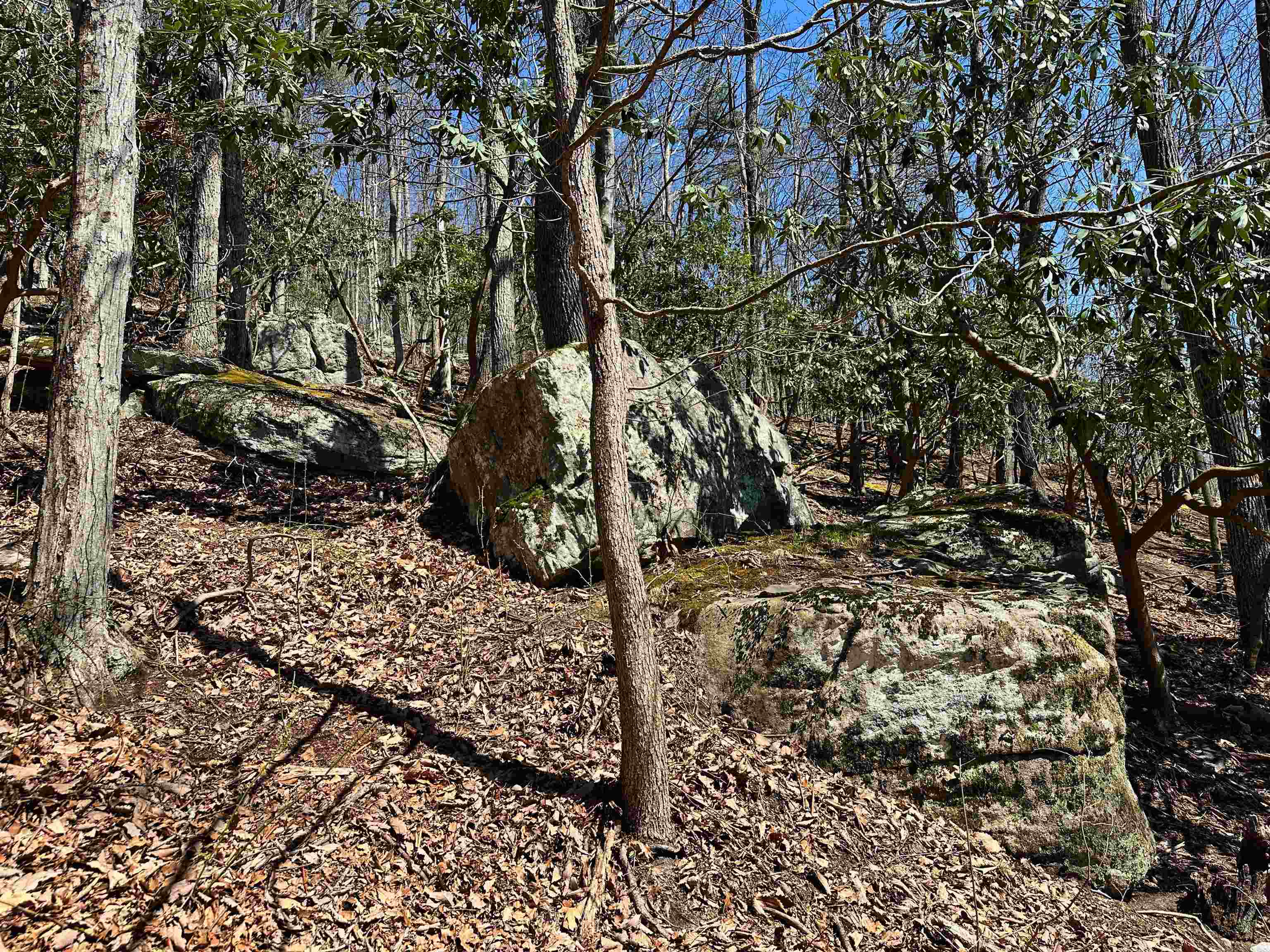 Tbd Mountain Lake Road Newport VA 24128