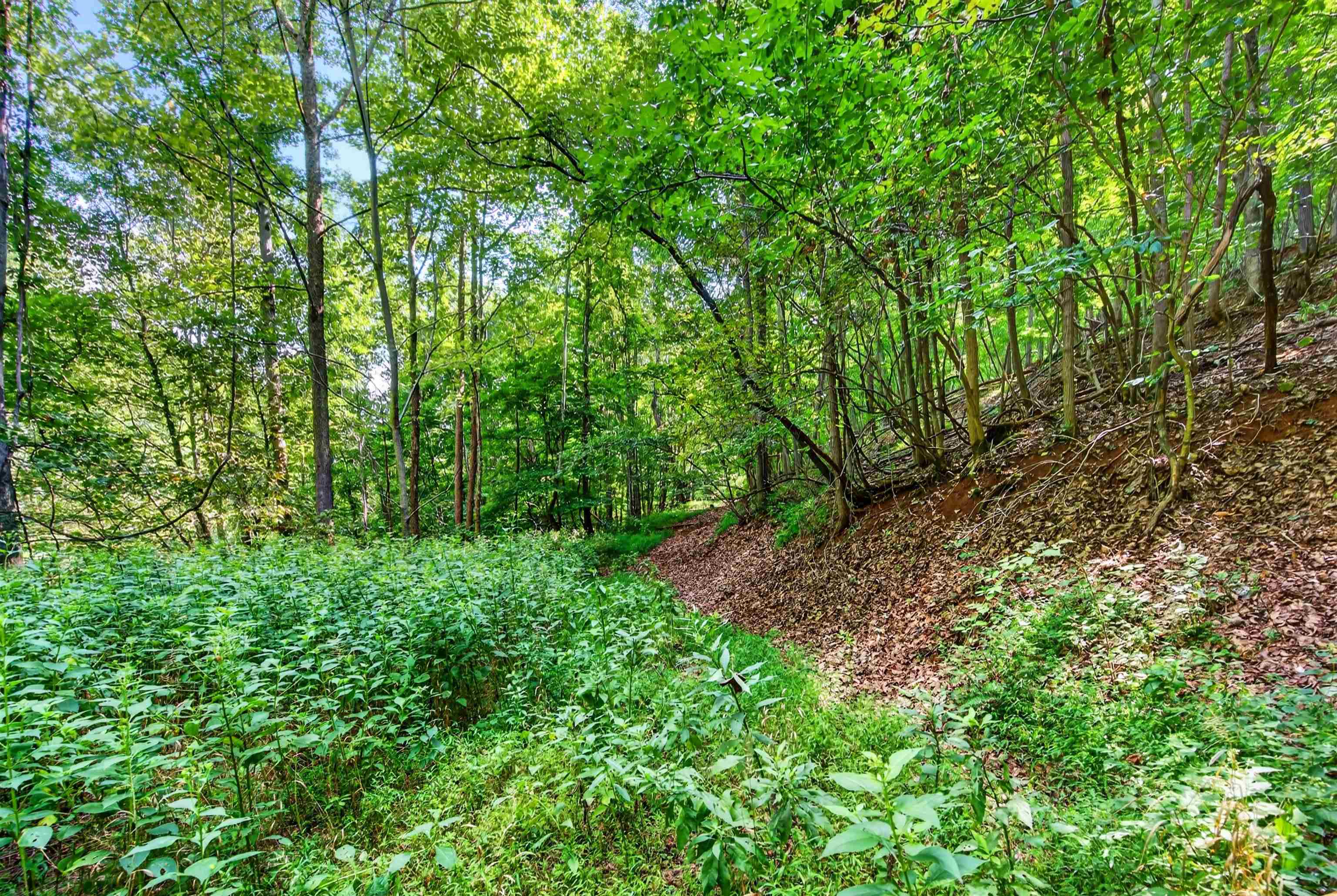 Tbd Lavender Road Shawsville VA 24162