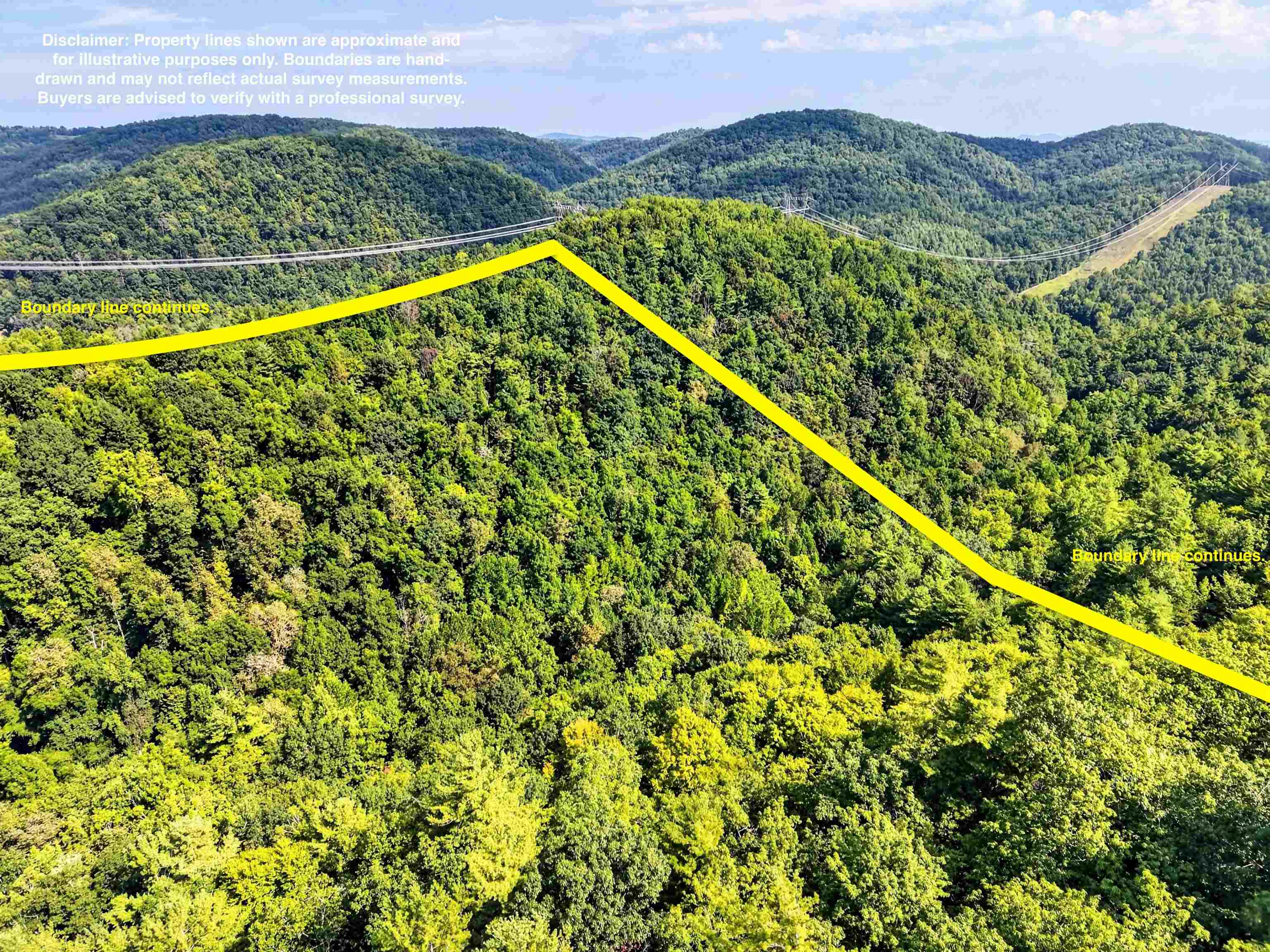 Tbd Lavender Road Shawsville VA 24162