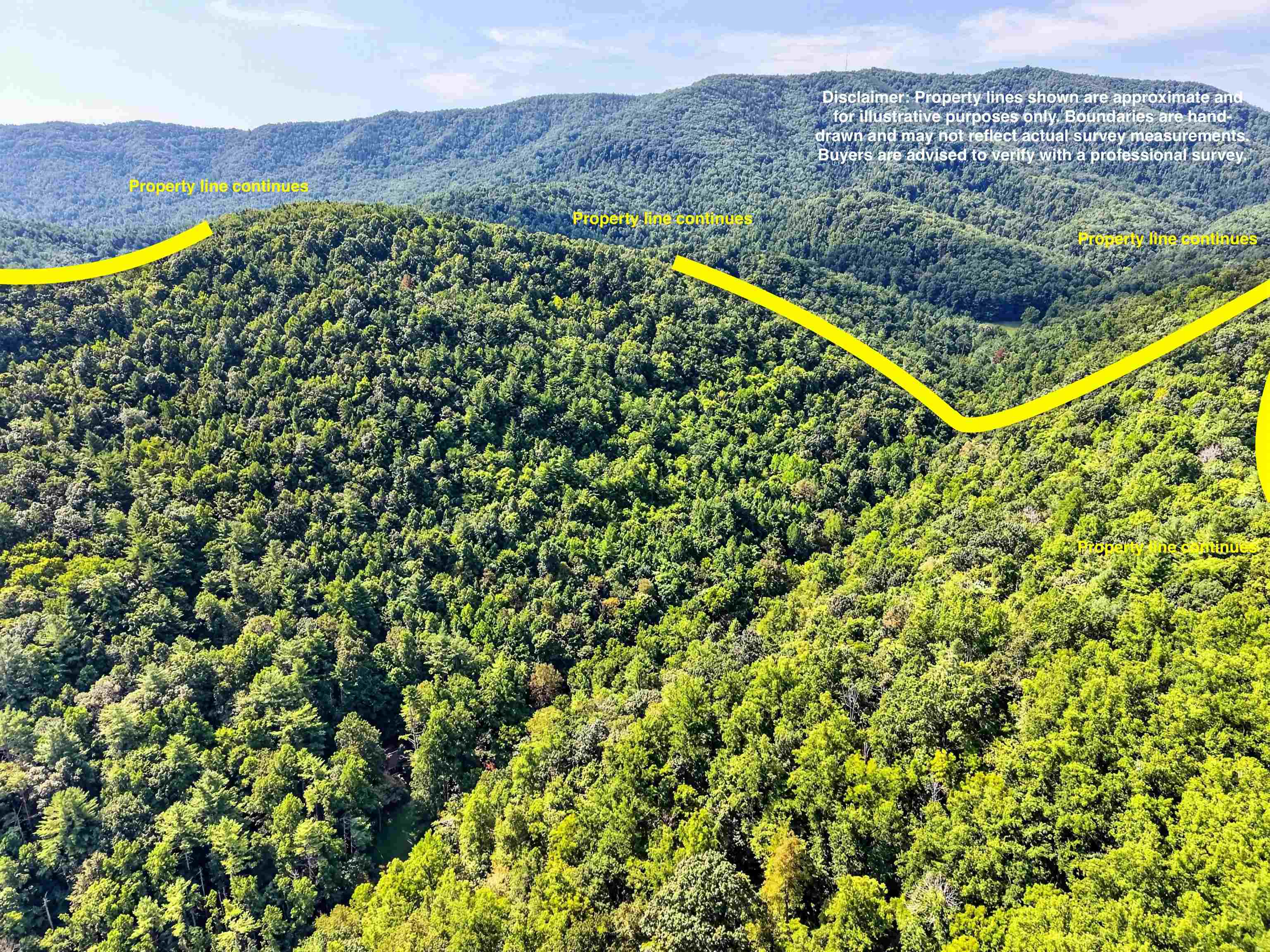 Tbd Lavender Road Shawsville VA 24162