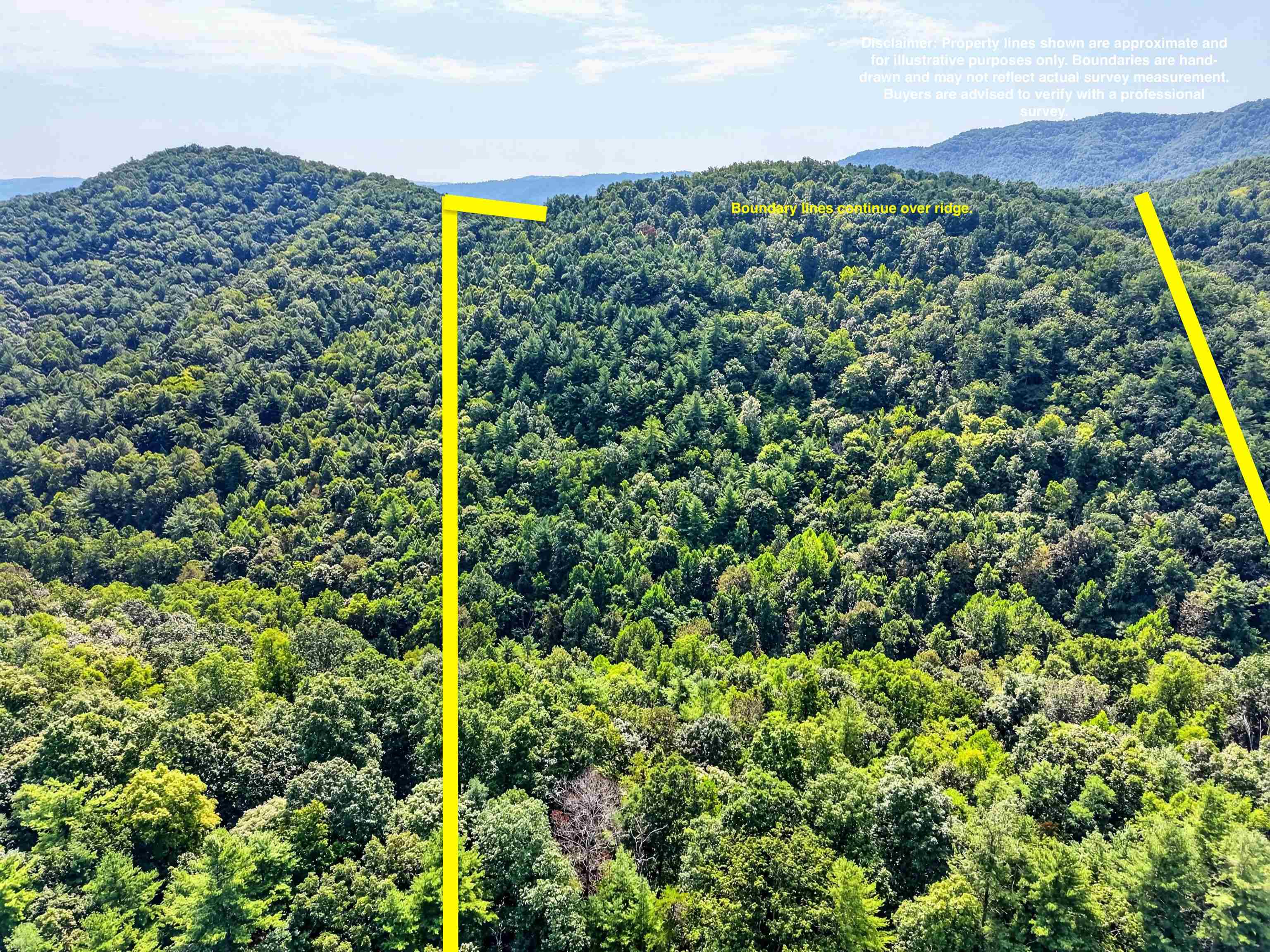 Tbd Lavender Road Shawsville VA 24162