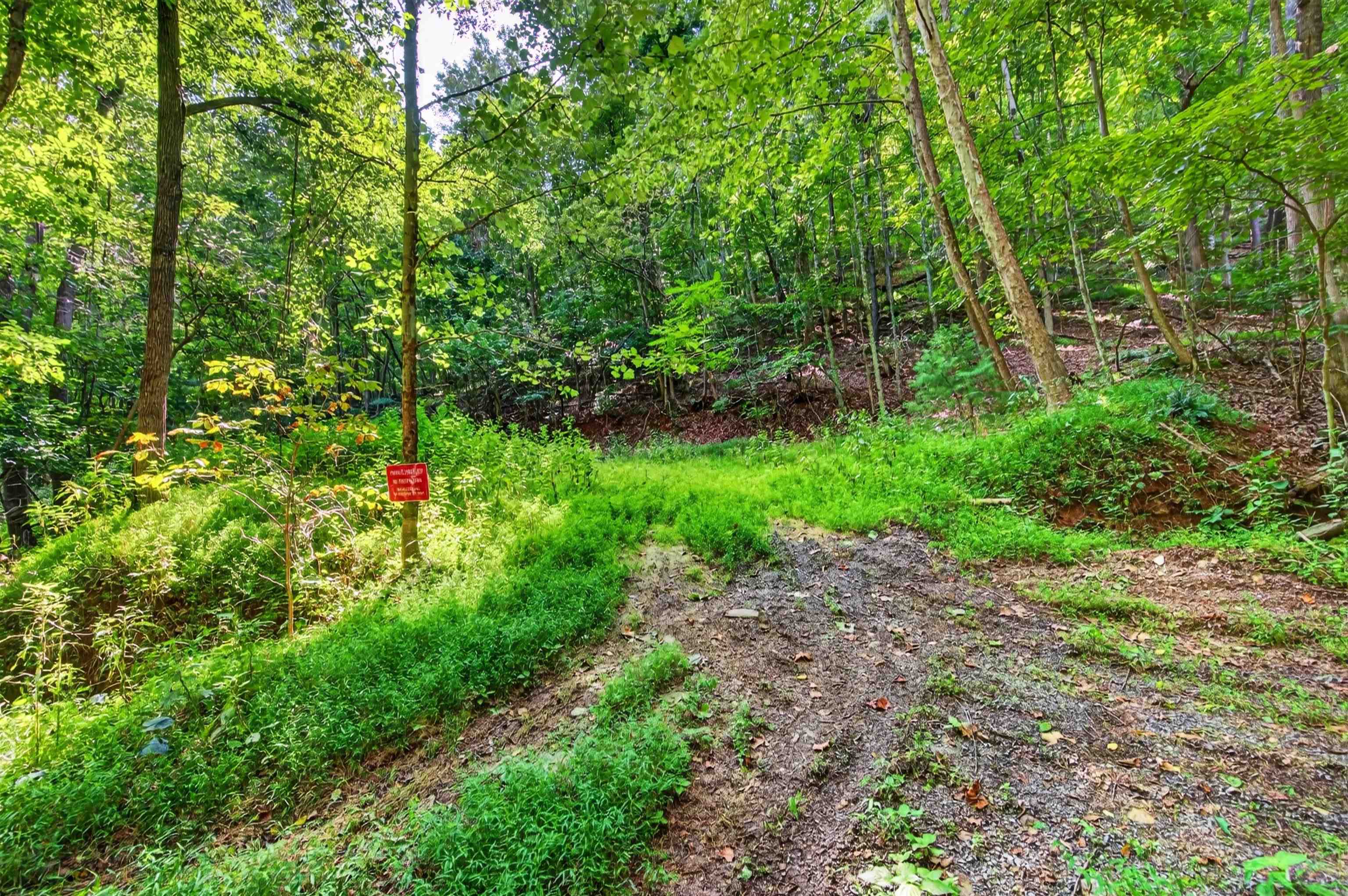 Tbd Lavender Road Shawsville VA 24162