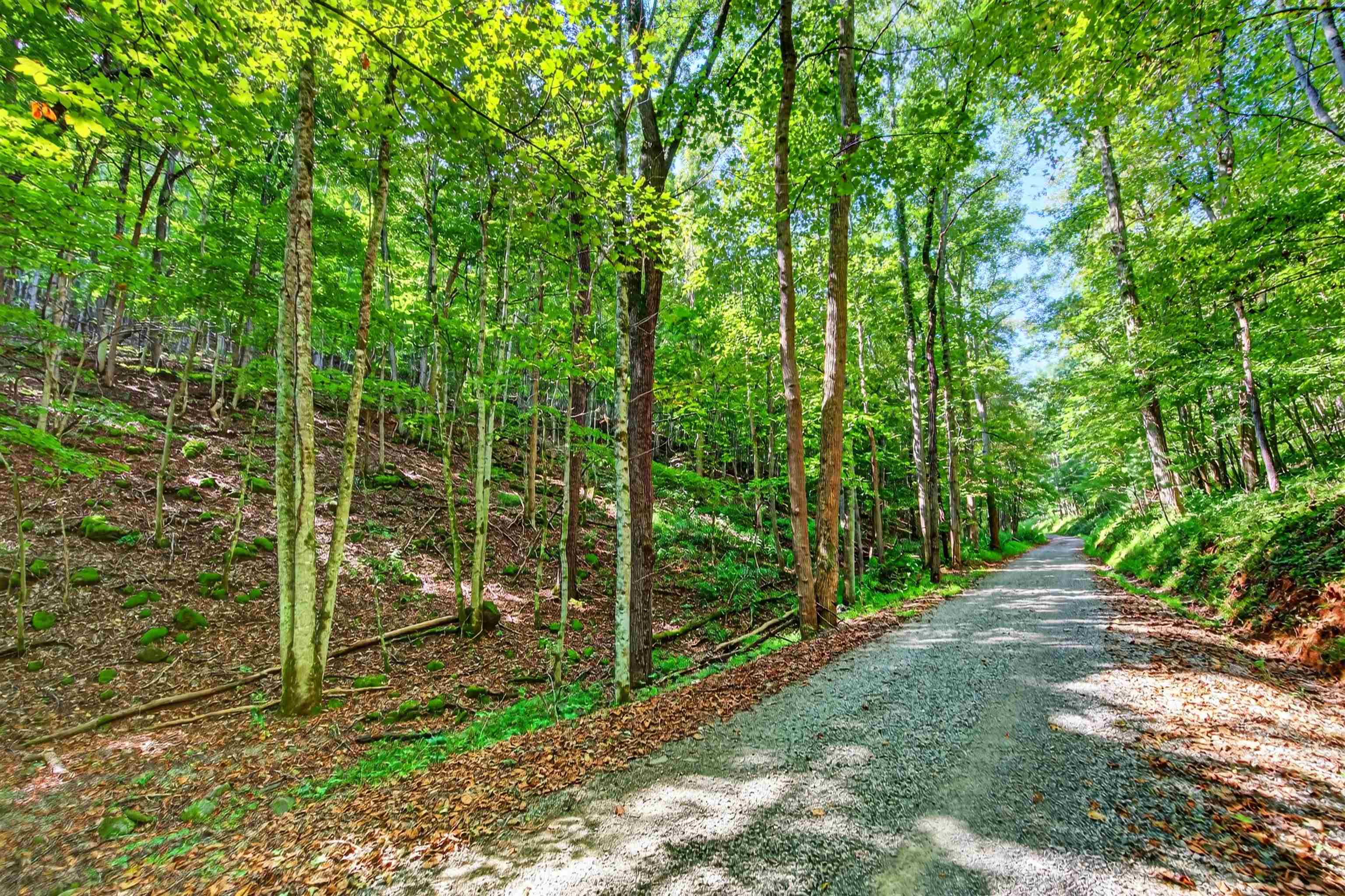 Tbd Lavender Road Shawsville VA 24162