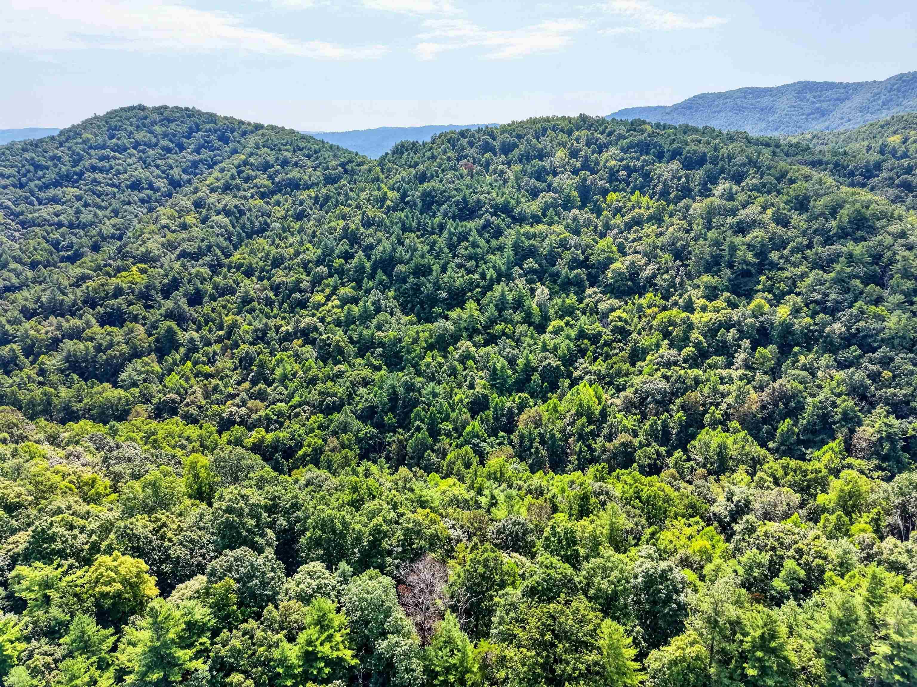 Tbd Lavender Road Shawsville VA 24162