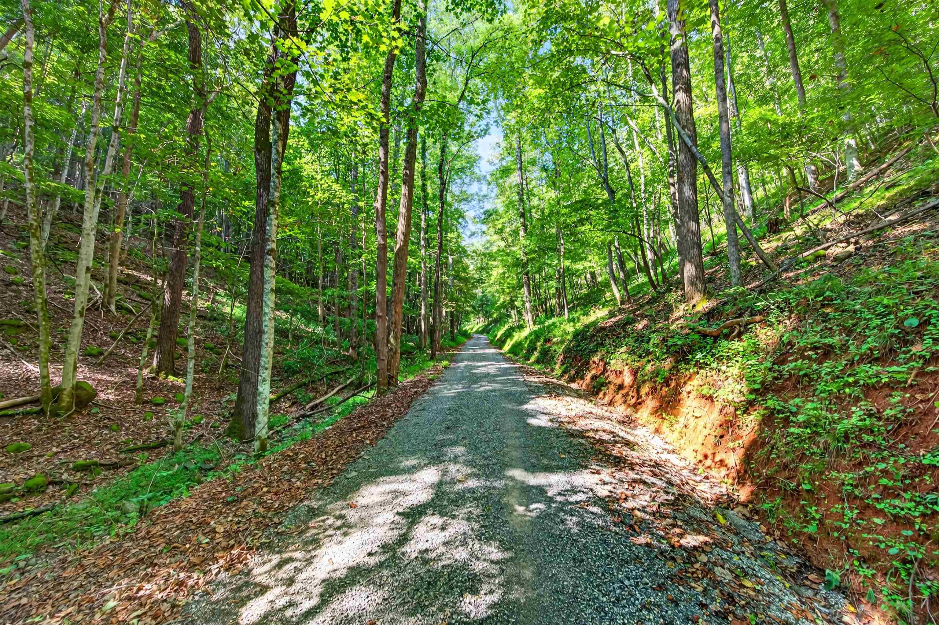 Tbd Lavender Road Shawsville VA 24162