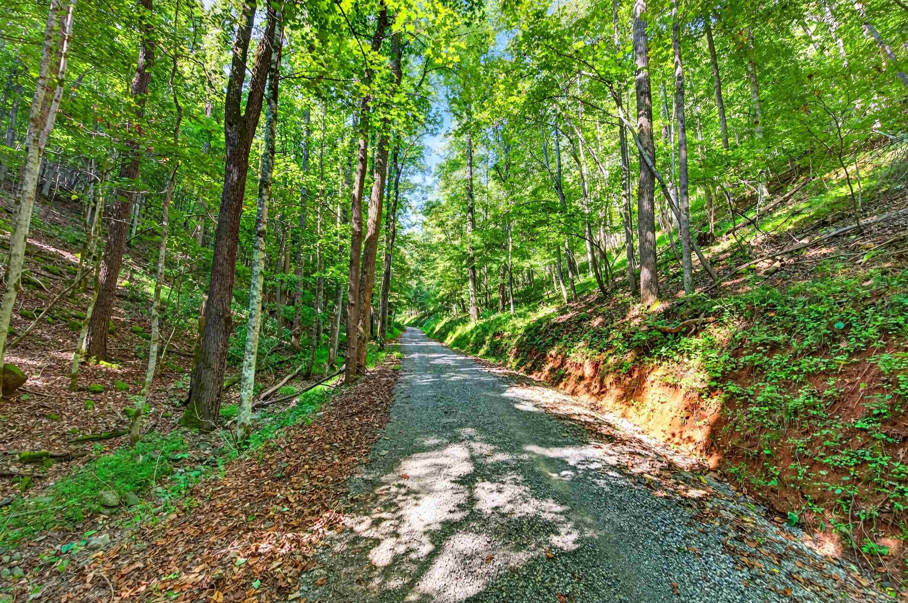Tbd Lavender Road Shawsville VA 24162