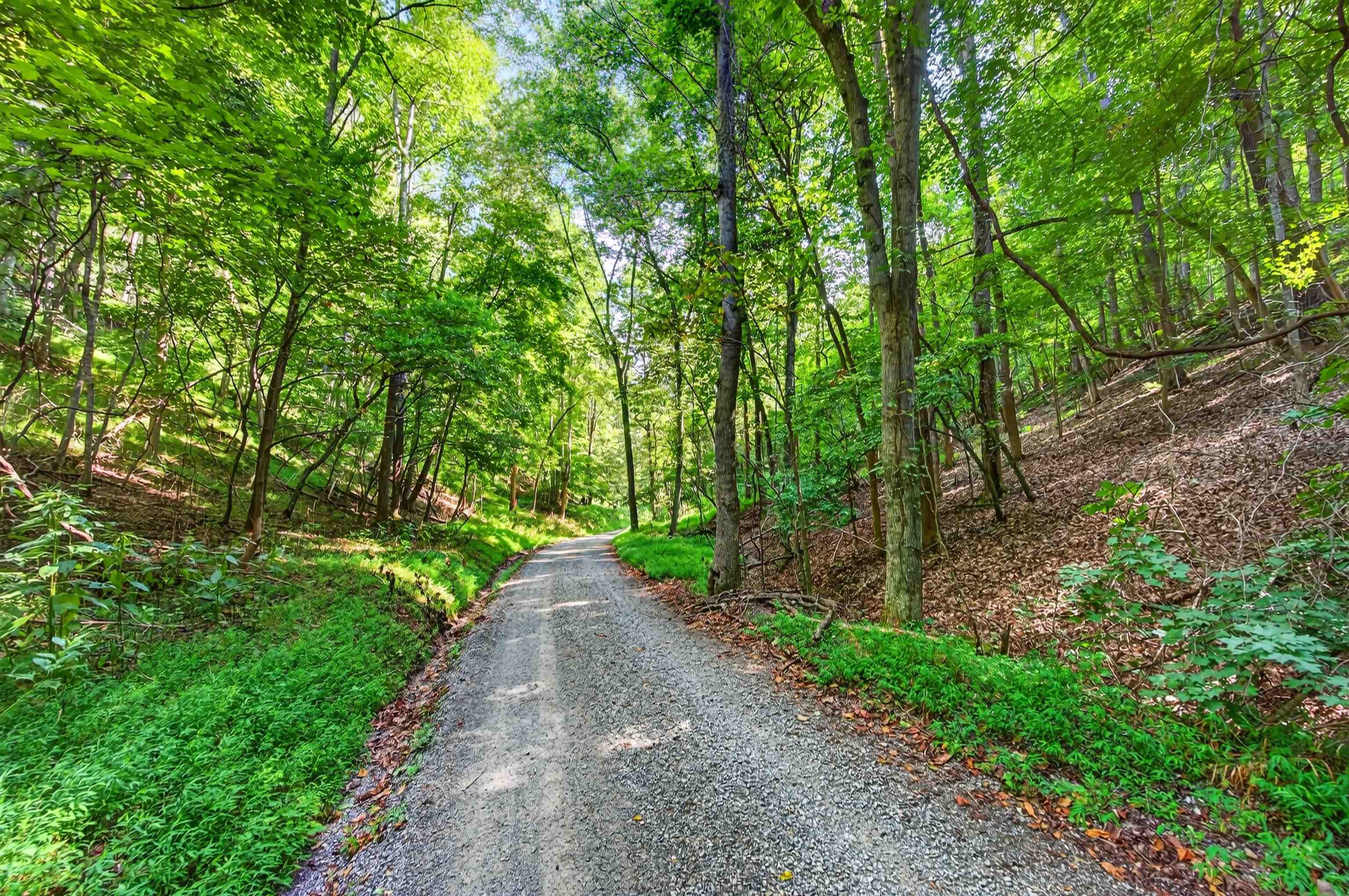 Tbd Lavender Road Shawsville VA 24162
