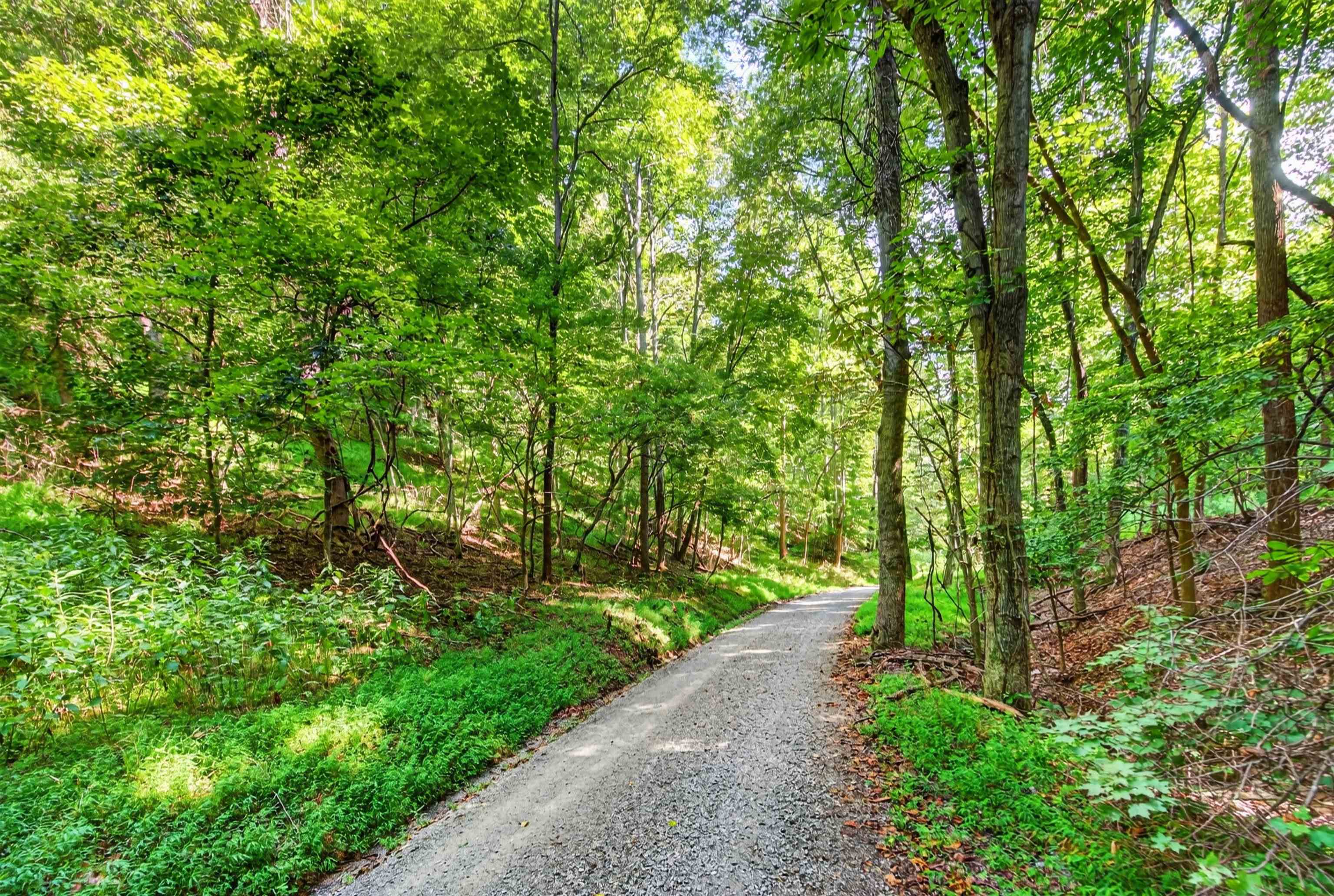Tbd Lavender Road Shawsville VA 24162
