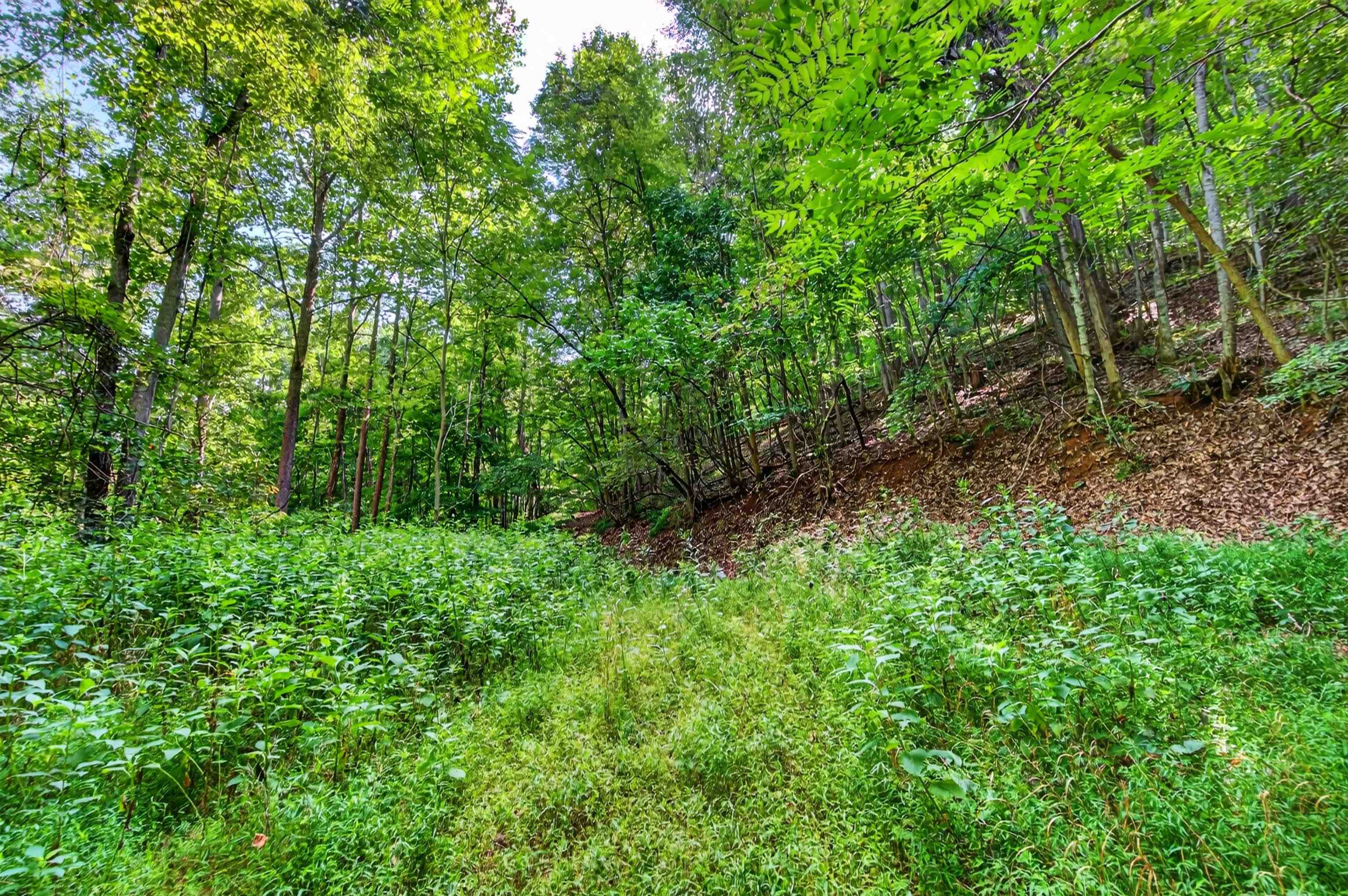 Tbd Lavender Road Shawsville VA 24162