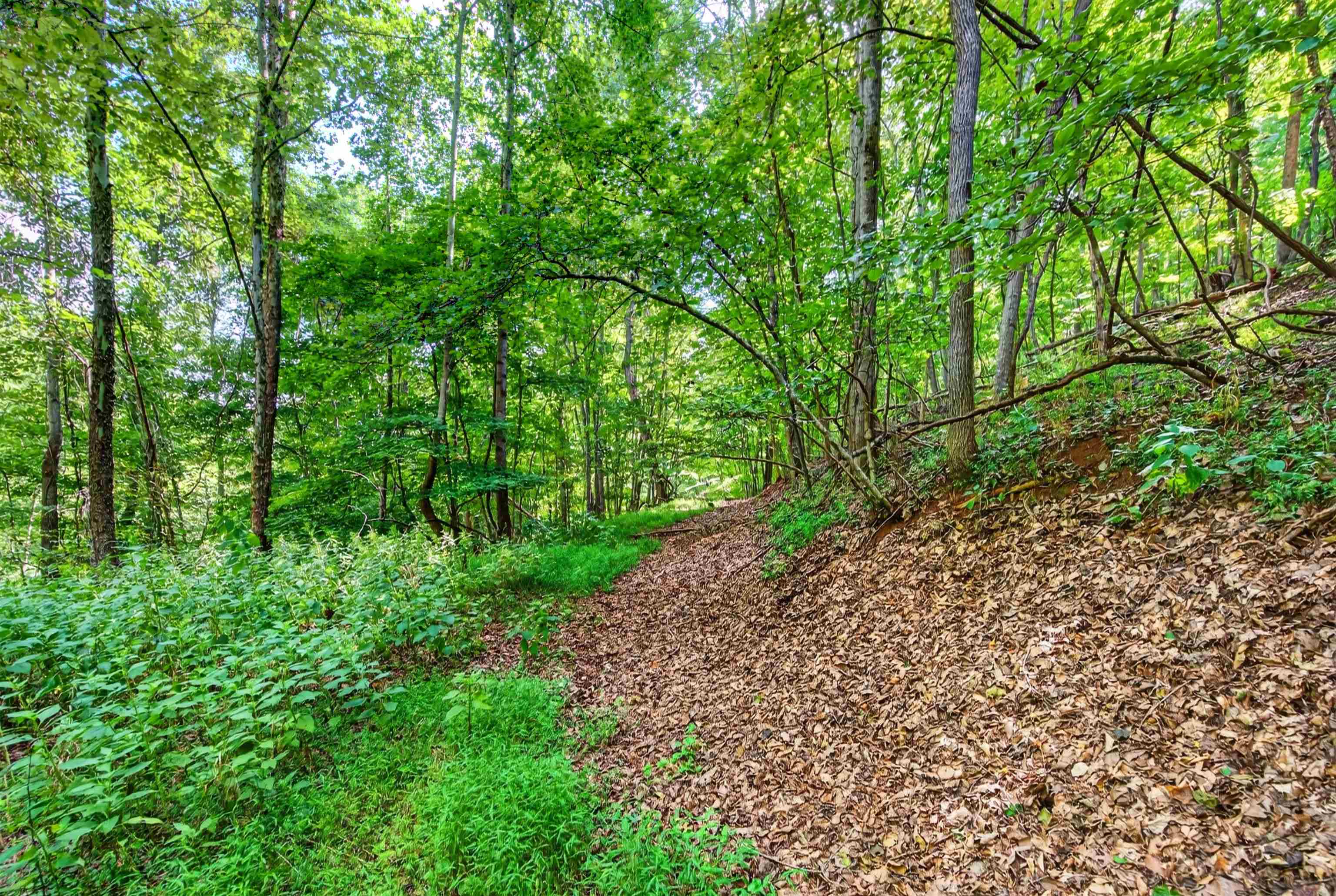 Tbd Lavender Road Shawsville VA 24162