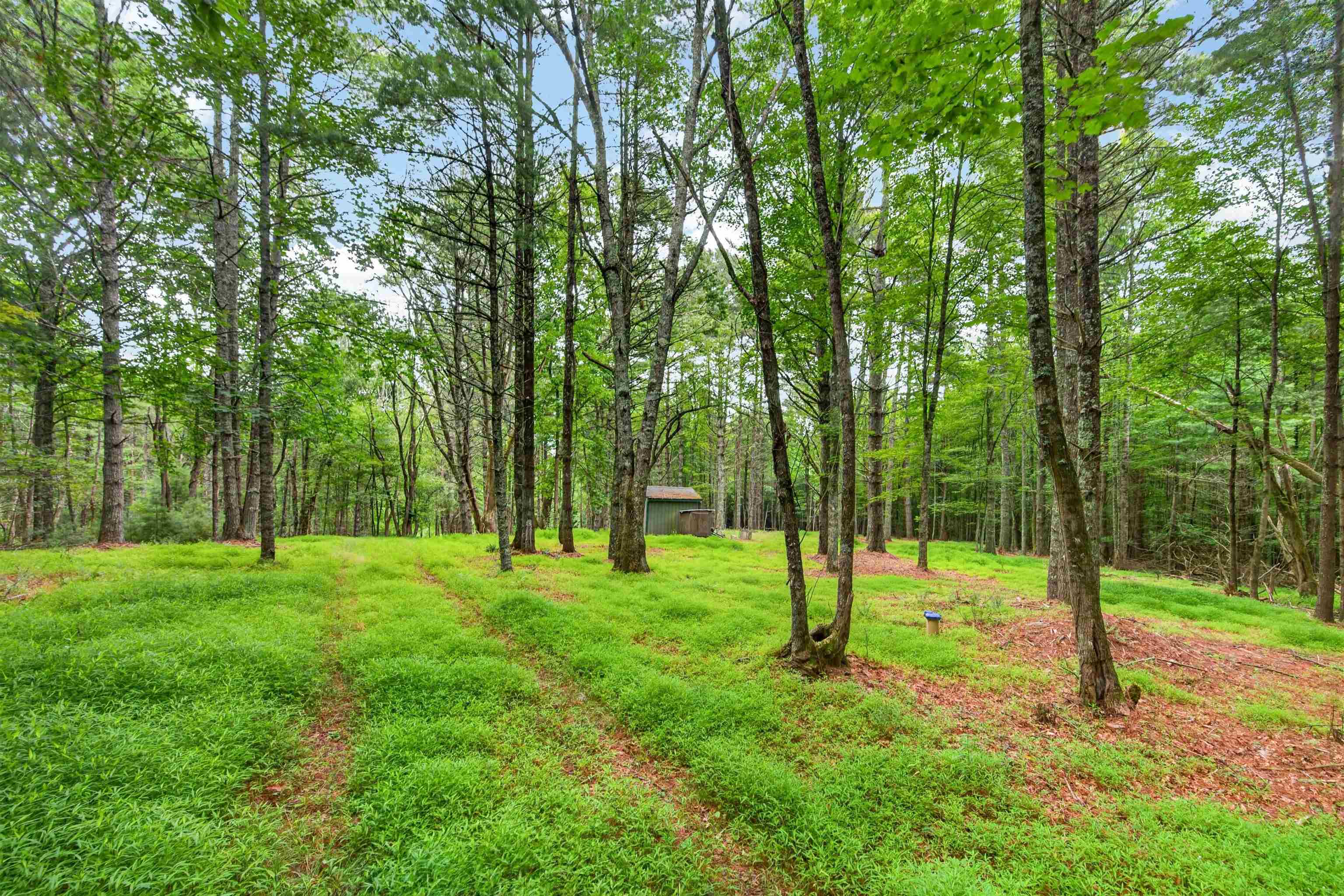 823 Marian Road Dugspur VA 24325