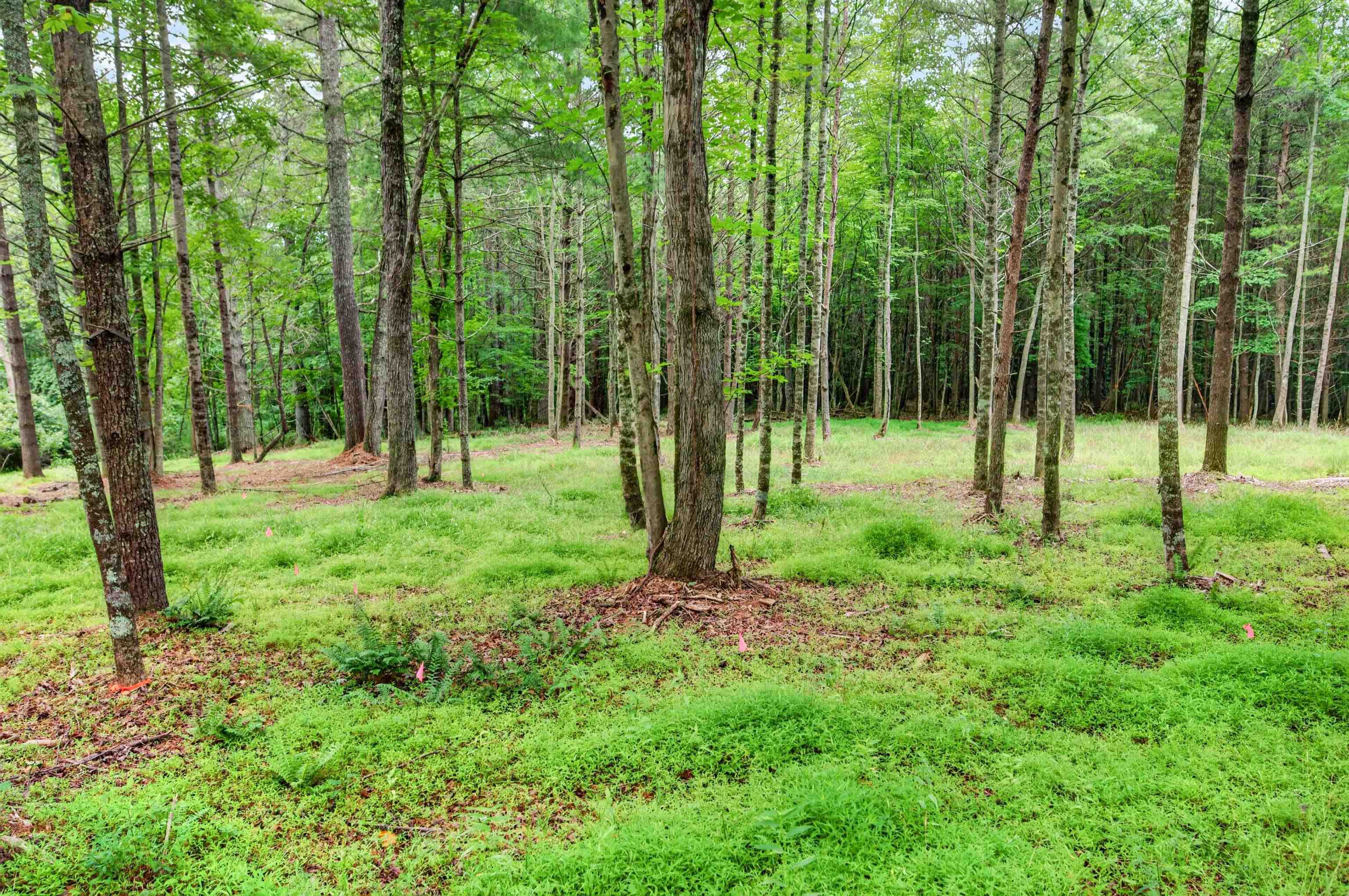 823 Marian Road Dugspur VA 24325
