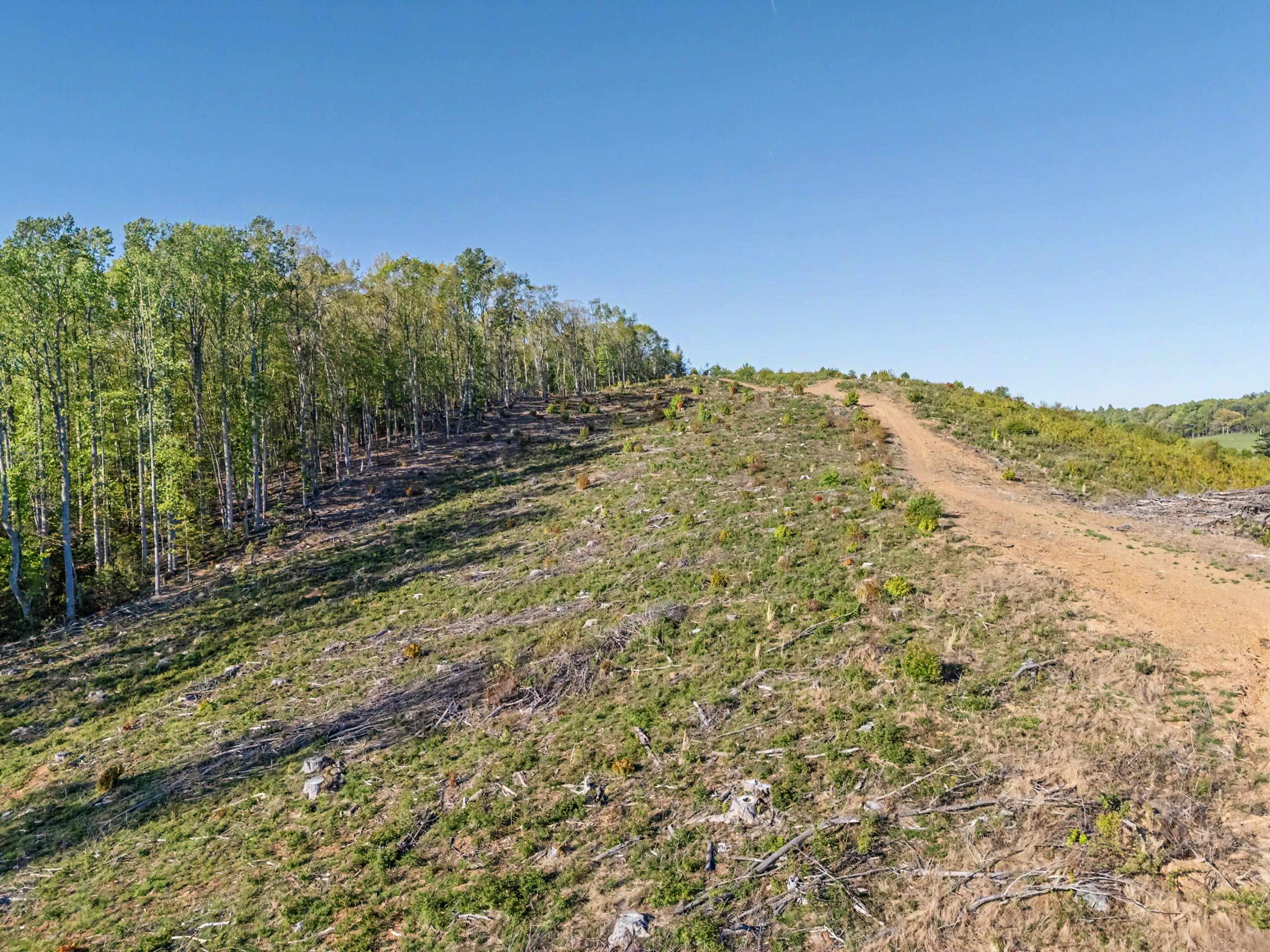 811 Easy Drive NW Willis VA 24380