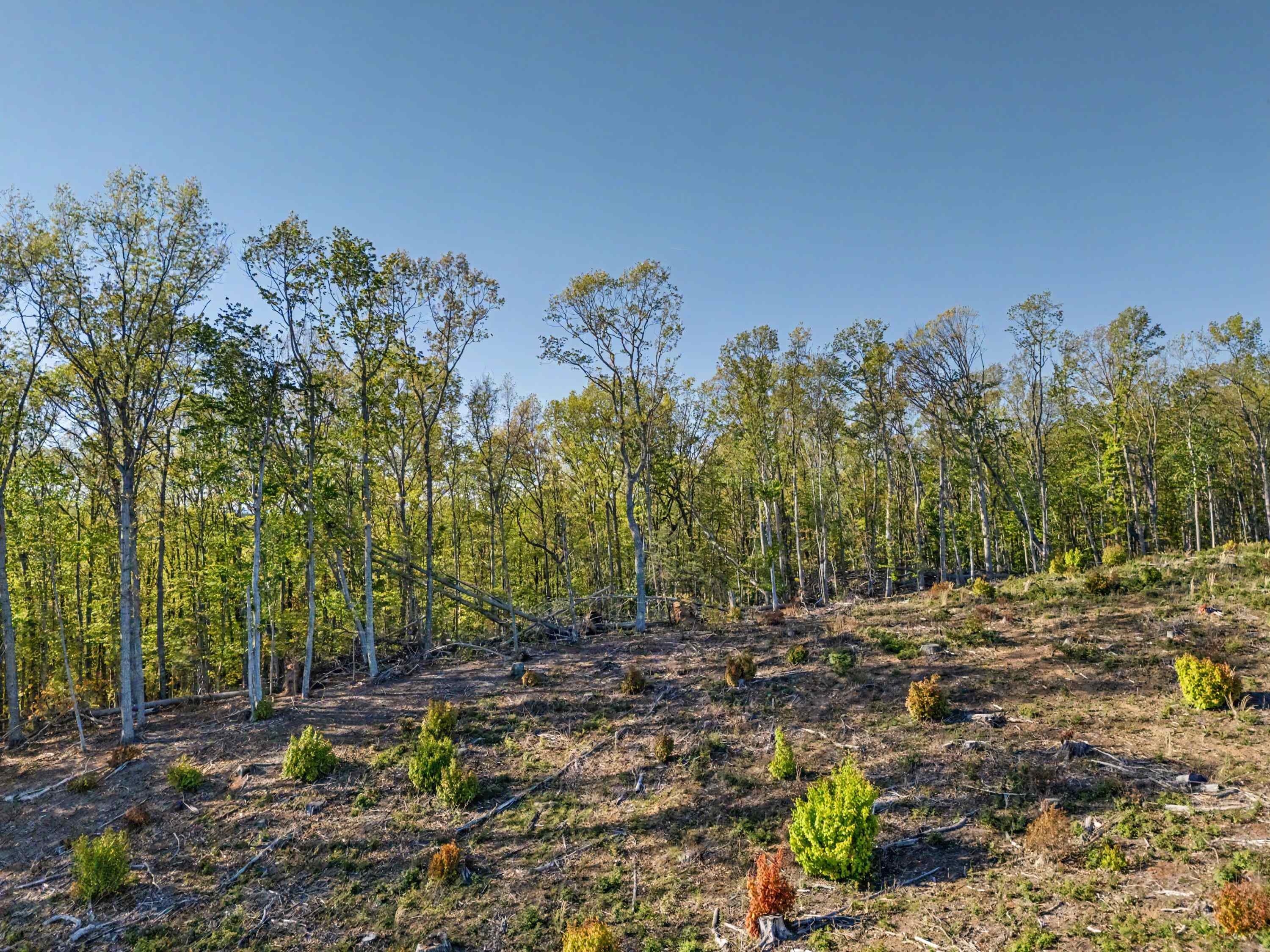 811 Easy Drive NW Willis VA 24380