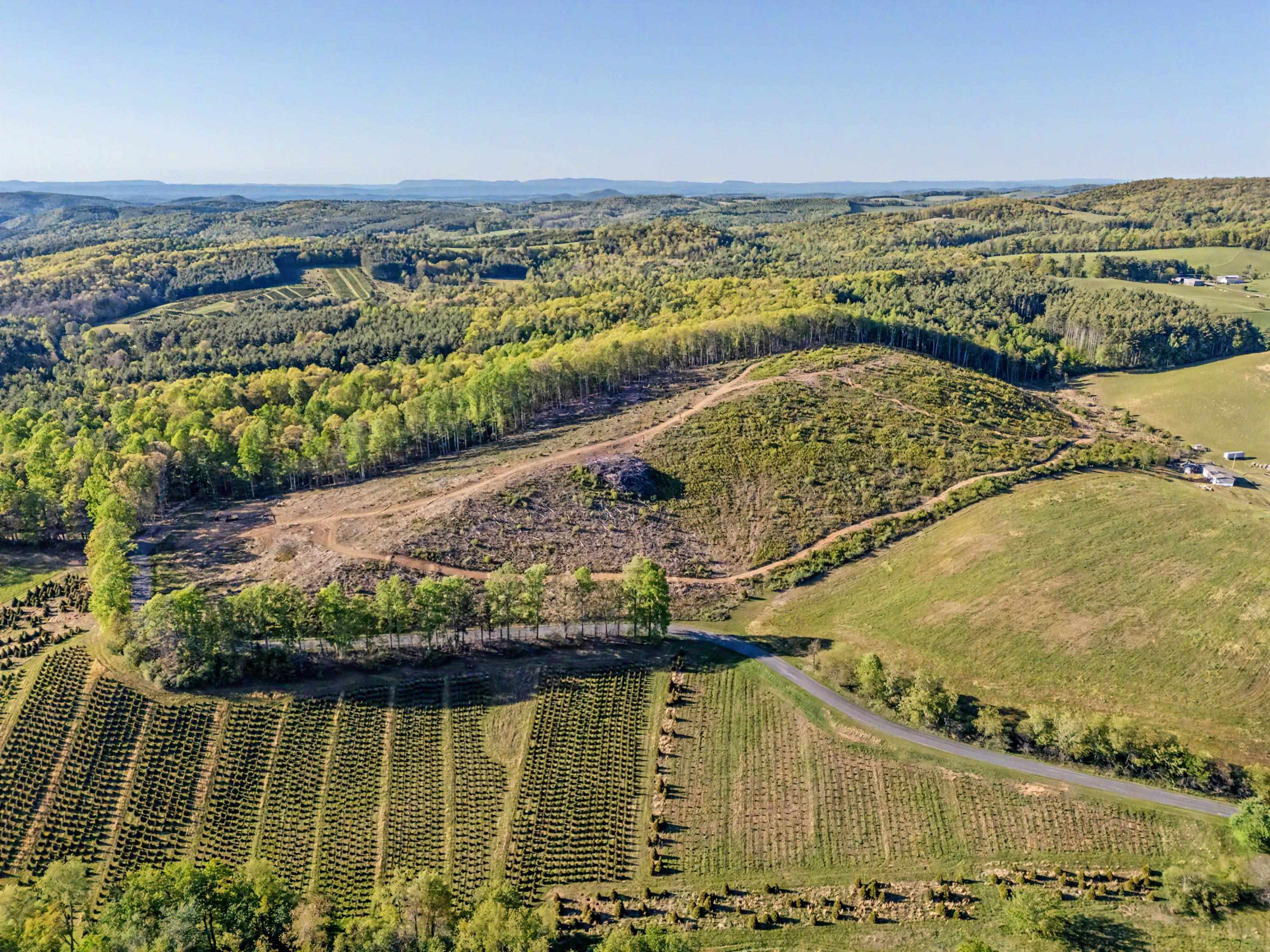 811 Easy Drive NW Willis VA 24380