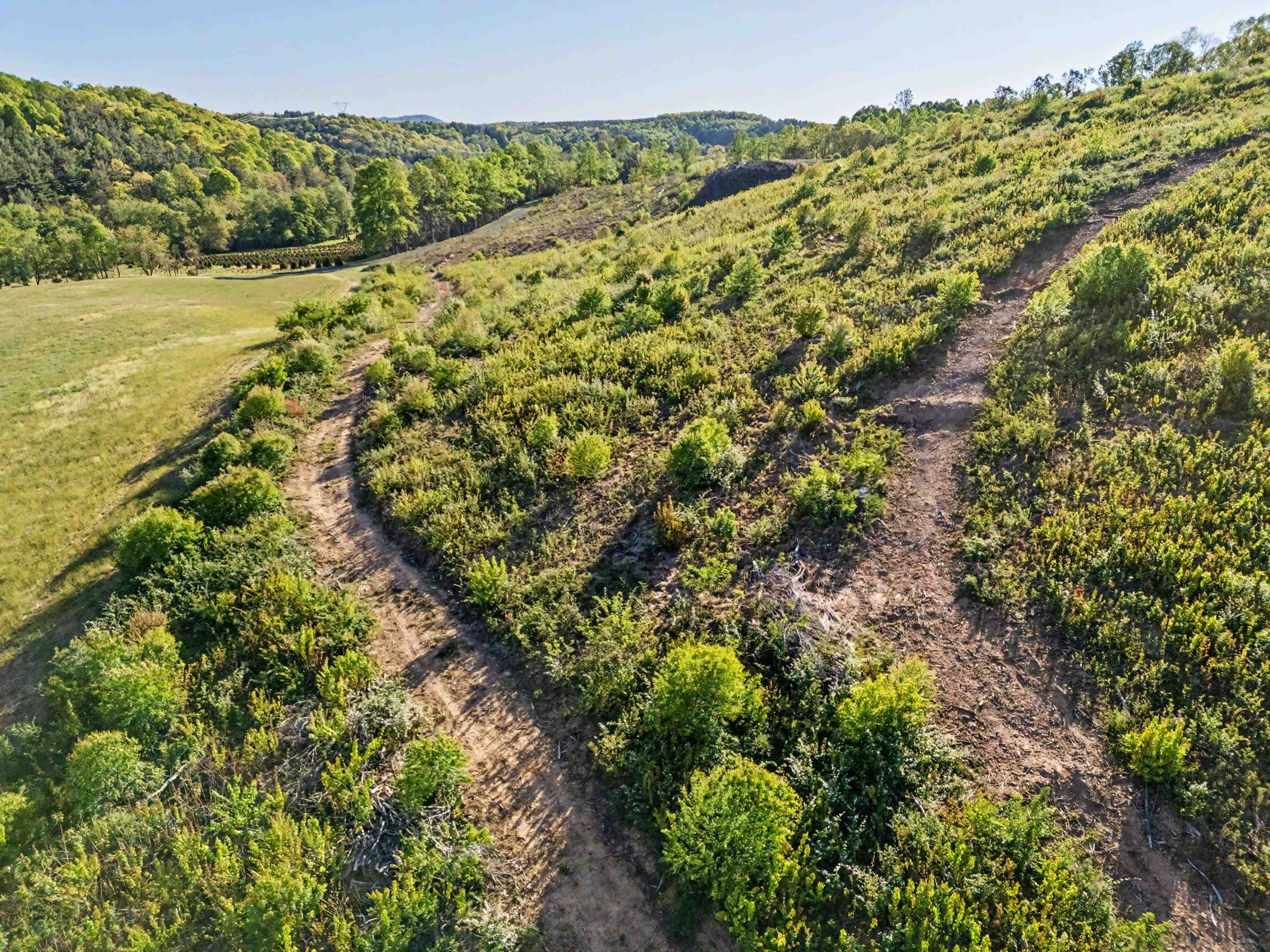 811 Easy Drive NW Willis VA 24380