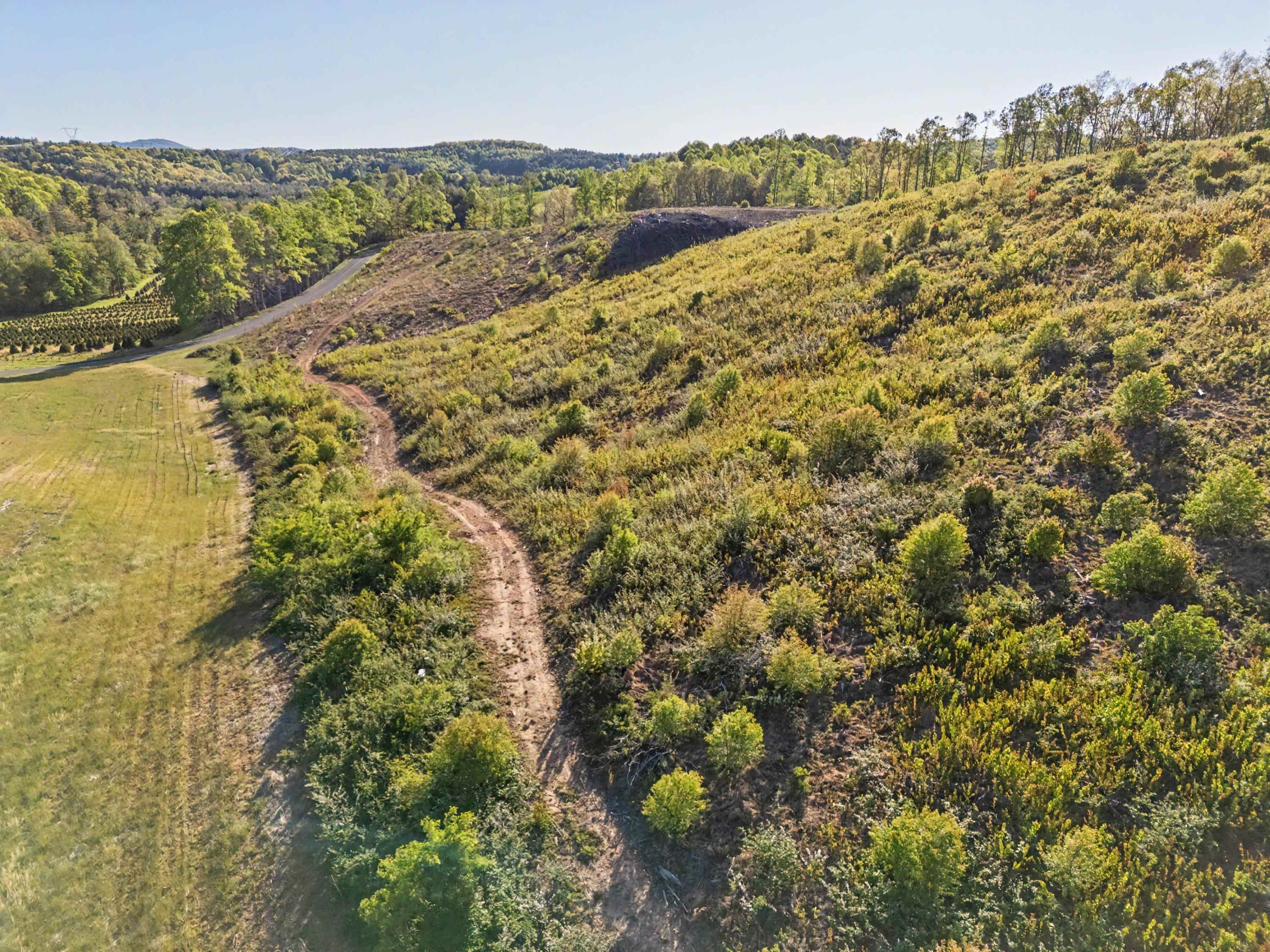 811 Easy Drive NW Willis VA 24380