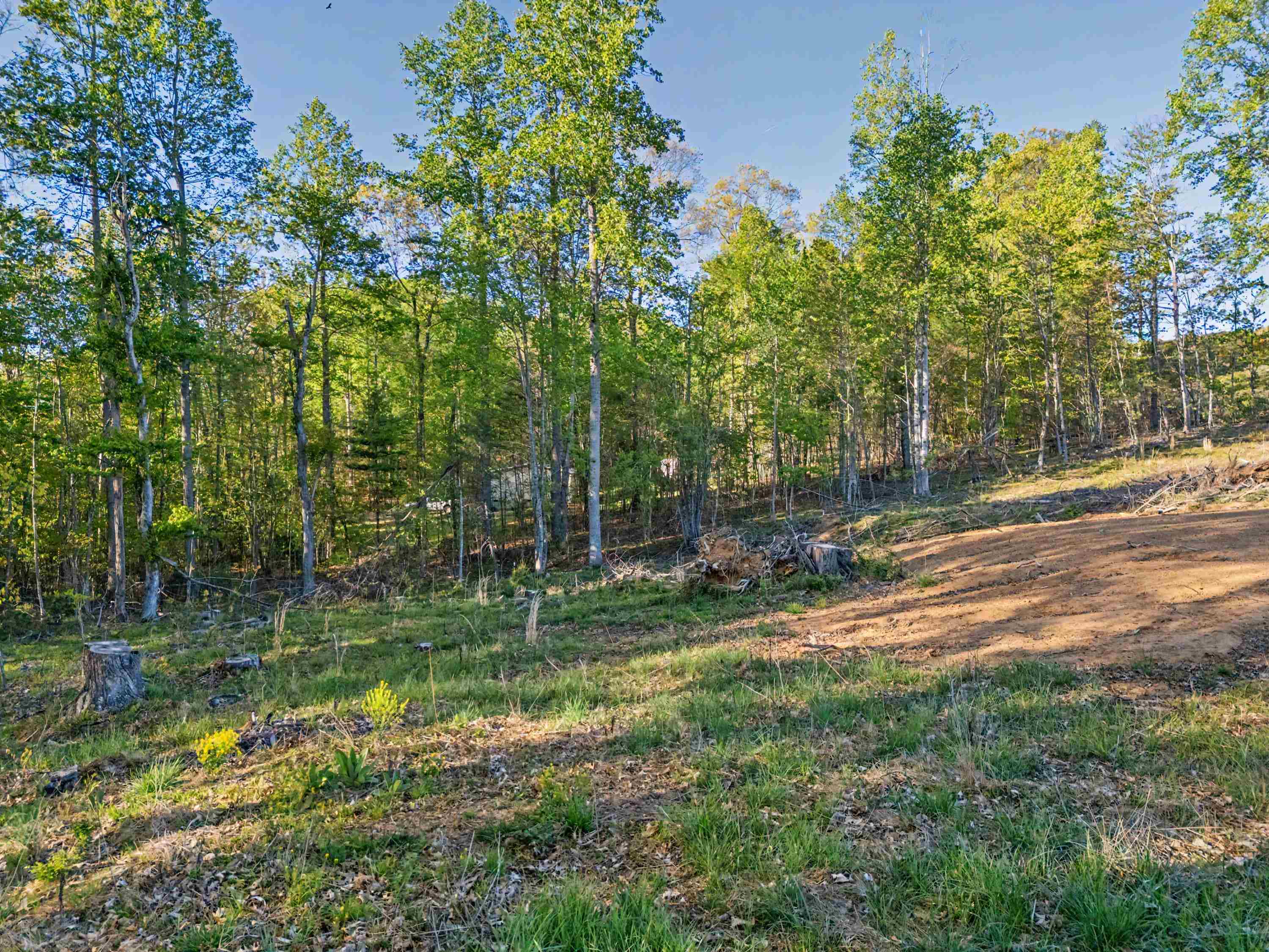 811 Easy Drive NW Willis VA 24380