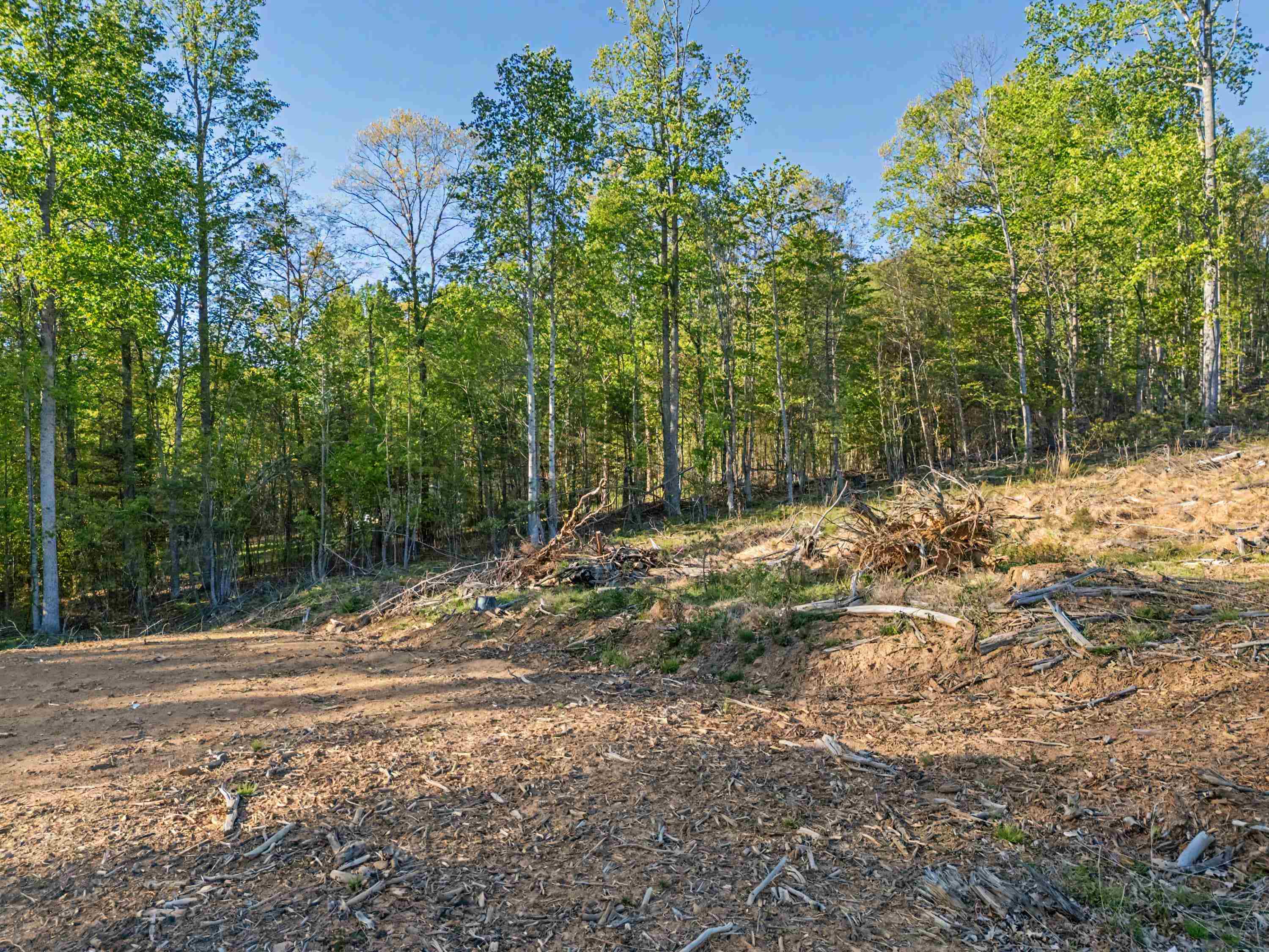 811 Easy Drive NW Willis VA 24380
