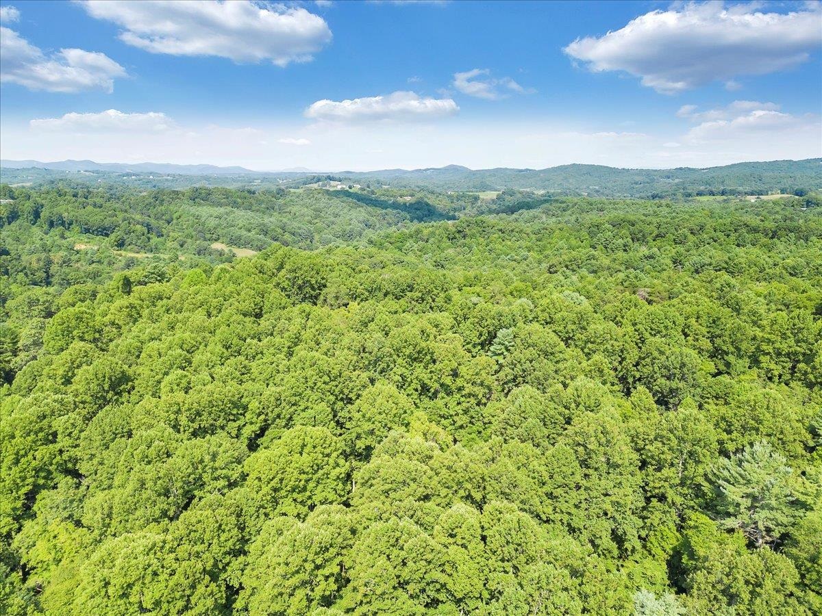 0 Sowers Mill Dam Road NE Floyd VA 24091