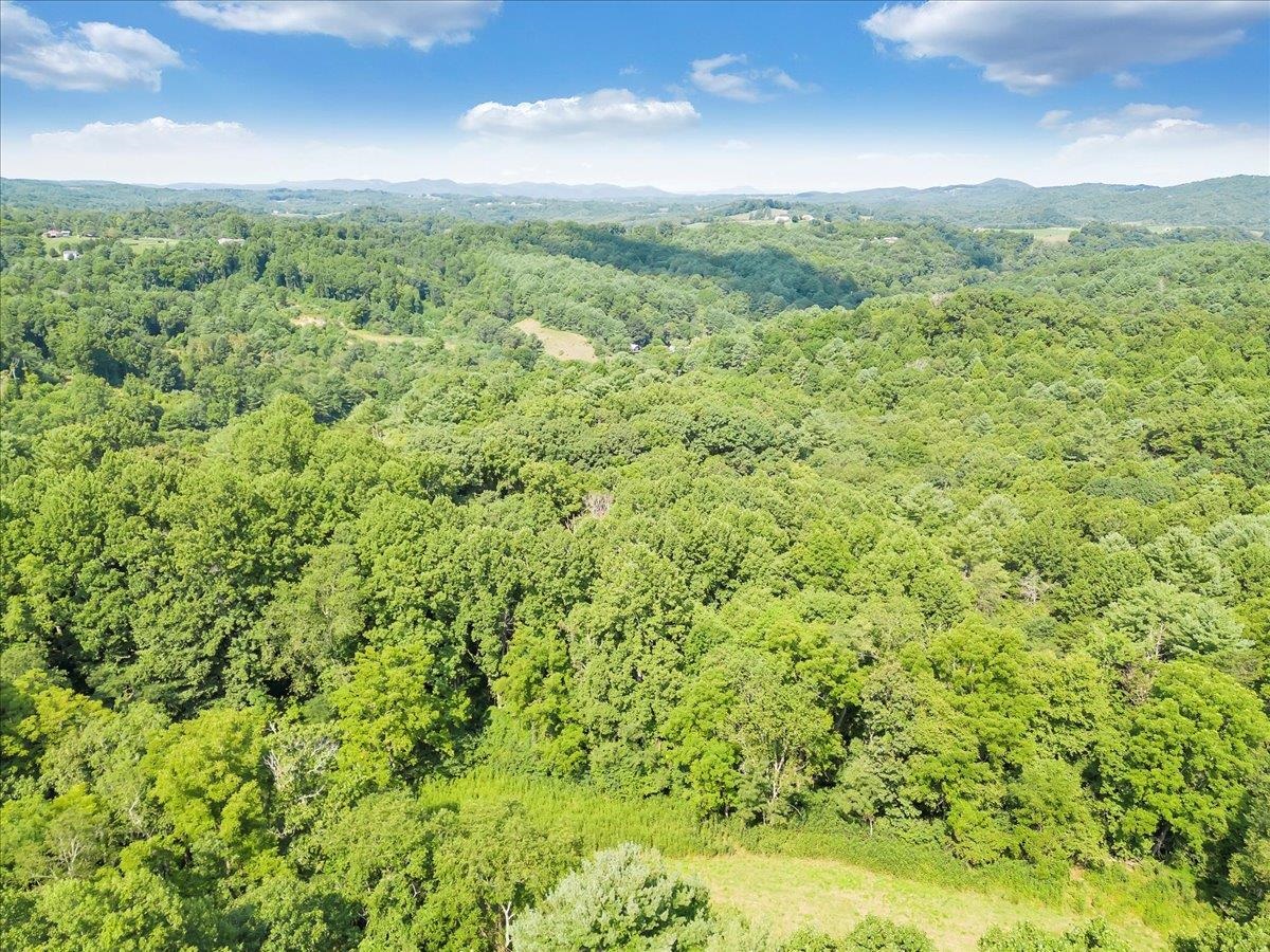 0 Sowers Mill Dam Road NE Floyd VA 24091