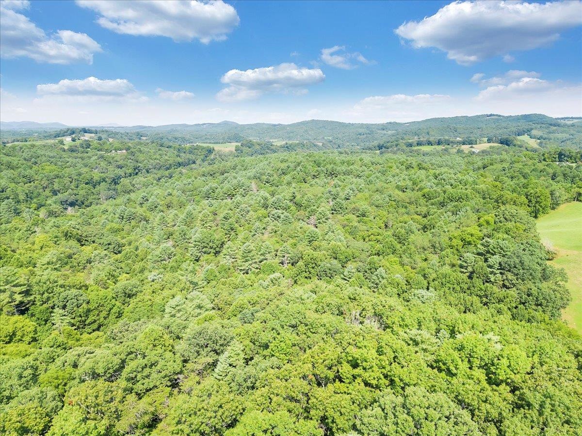 0 Sowers Mill Dam Road NE Floyd VA 24091