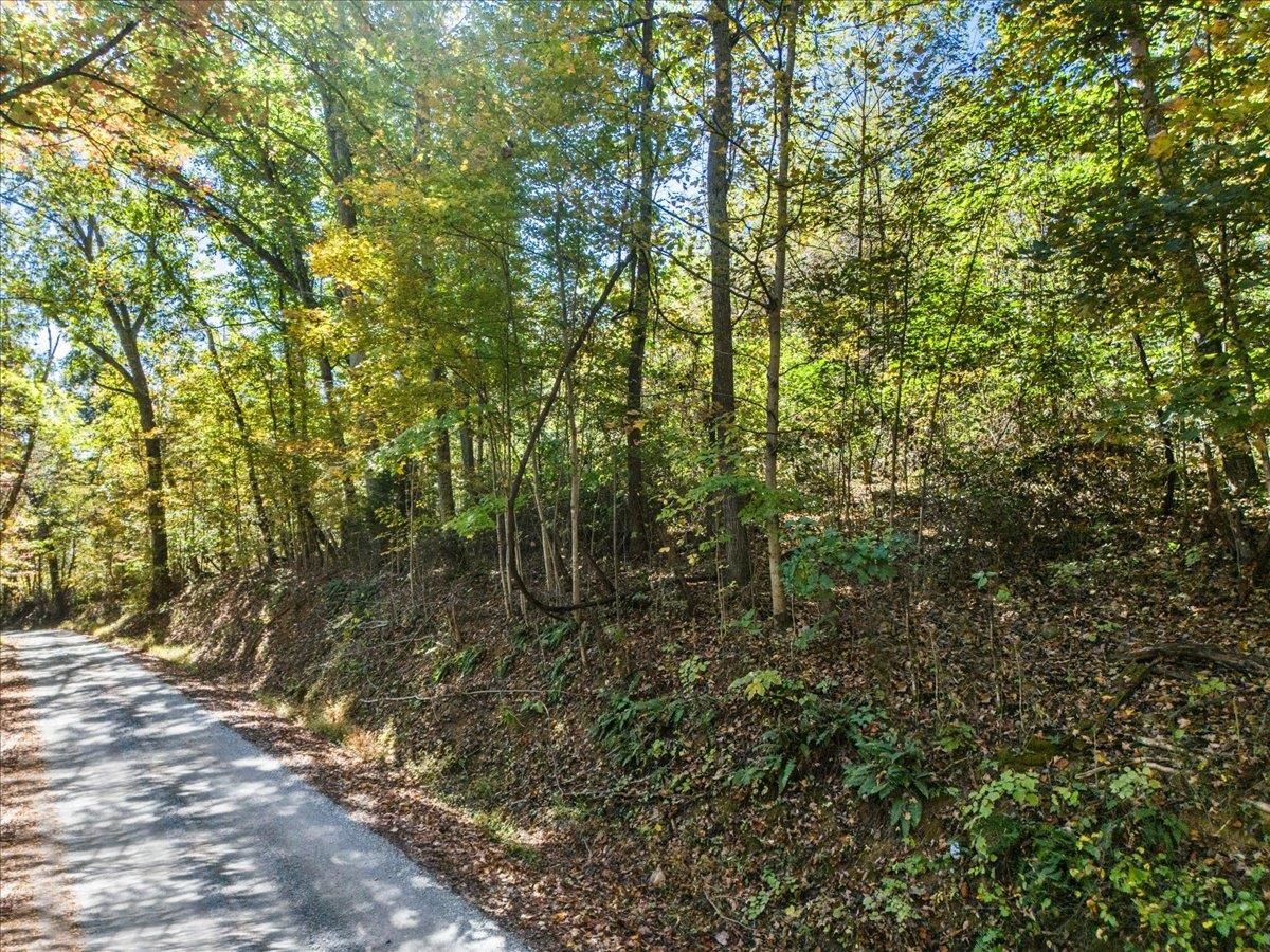 Tbd Dry Branch Road Pembroke VA 24136