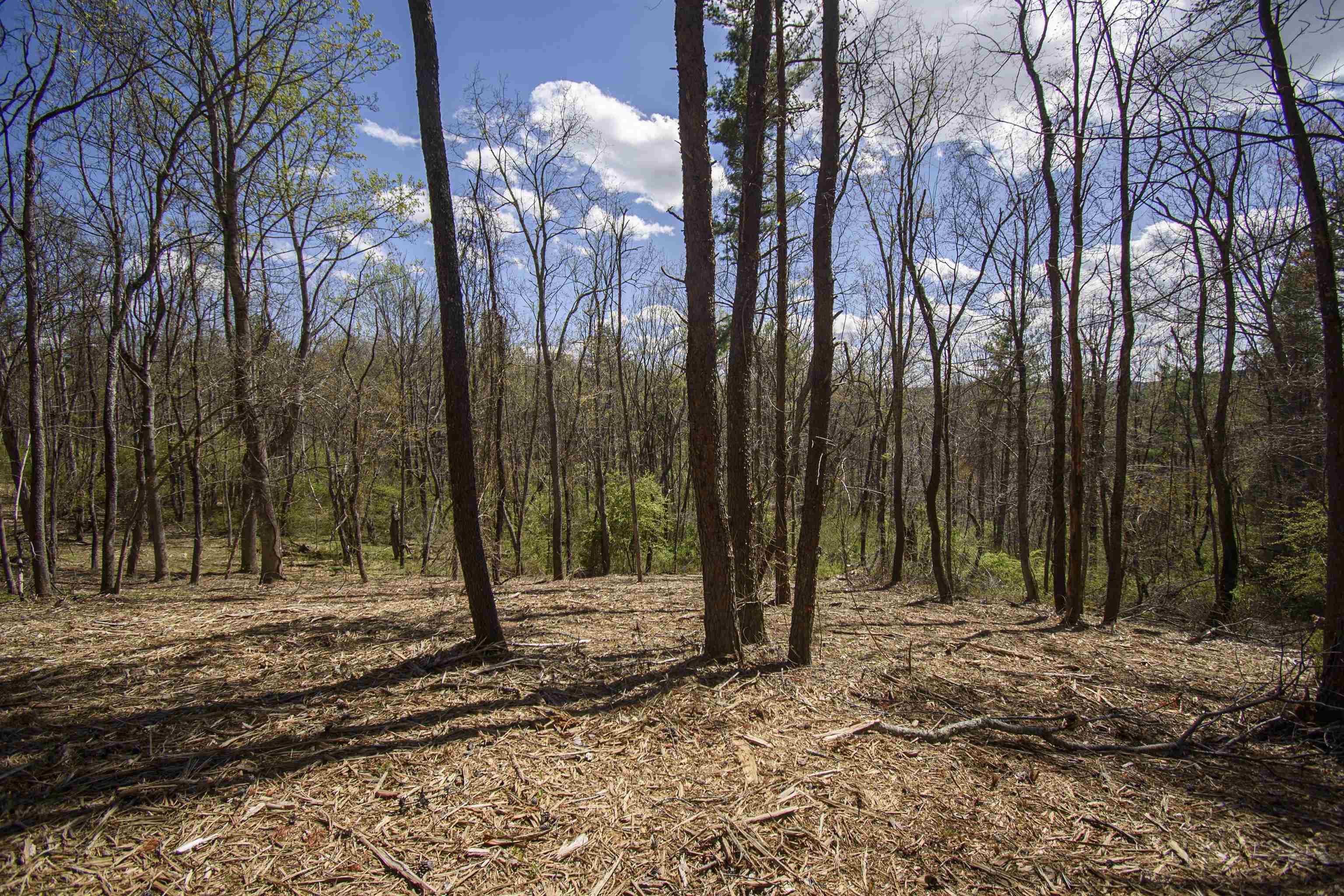 Tbd Tract B Penn Road NW Floyd VA 24091
