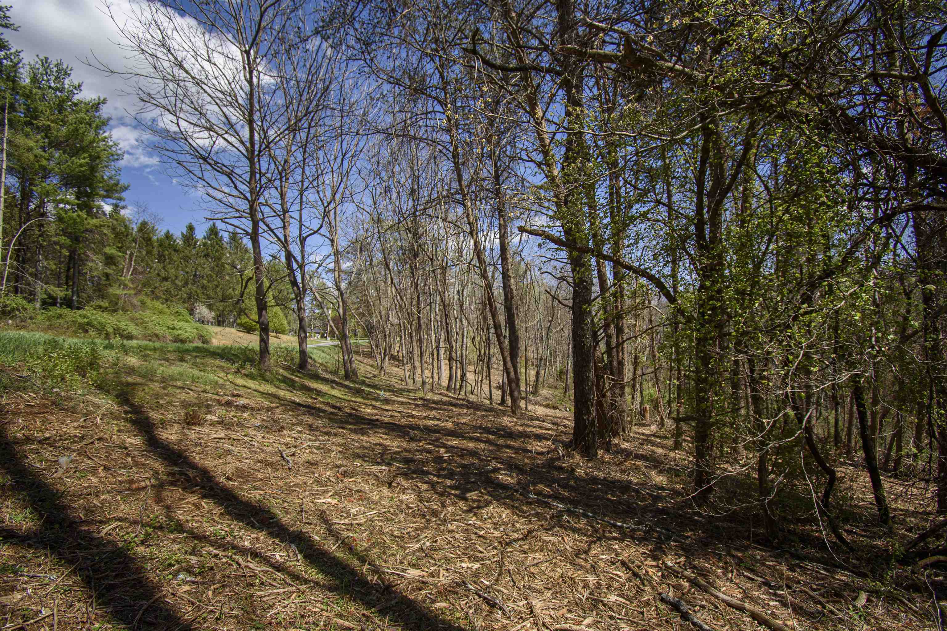 Tbd Tract B Penn Road NW Floyd VA 24091