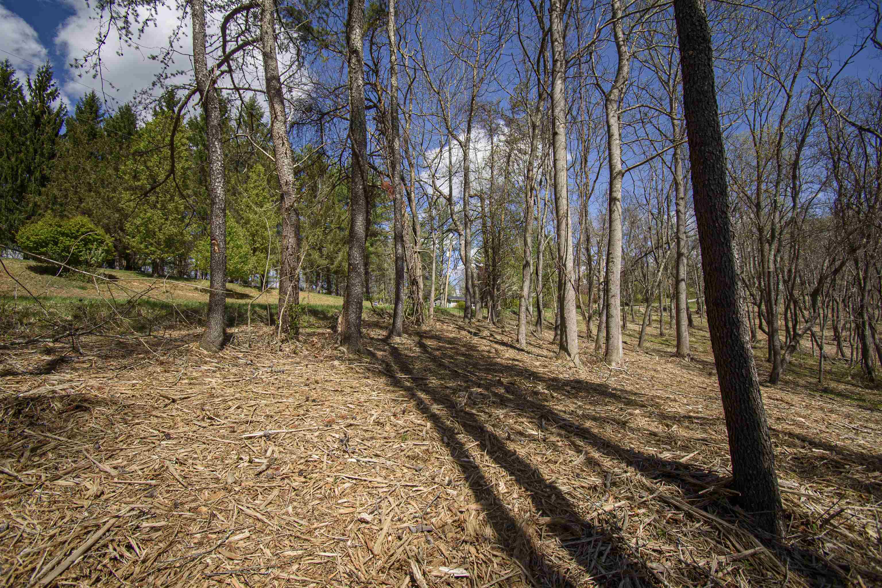 Tbd Tract B Penn Road NW Floyd VA 24091