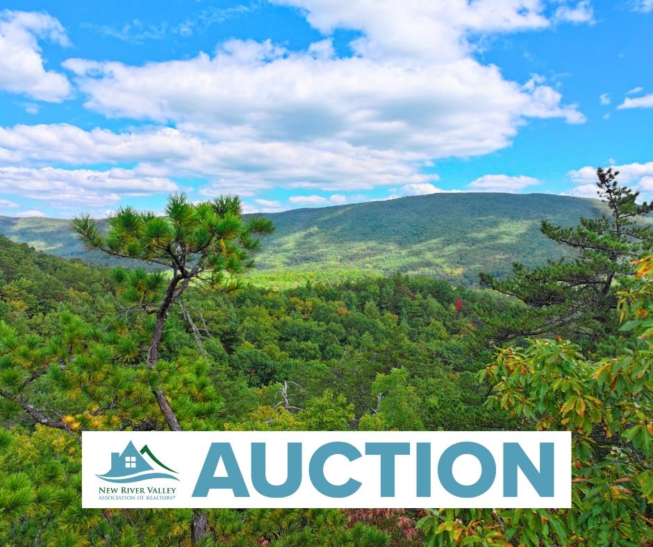 Tbd Dry Gulch Road Wytheville VA 24382