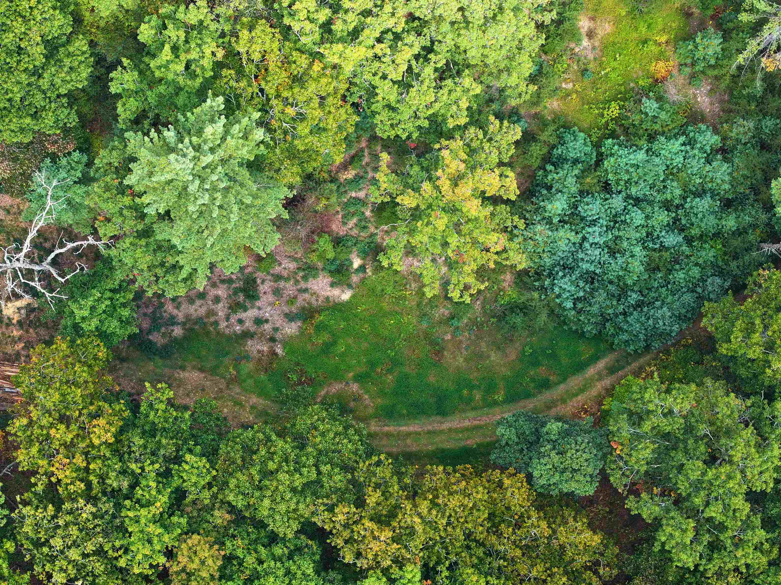 Tbd Dry Gulch Road Wytheville VA 24382