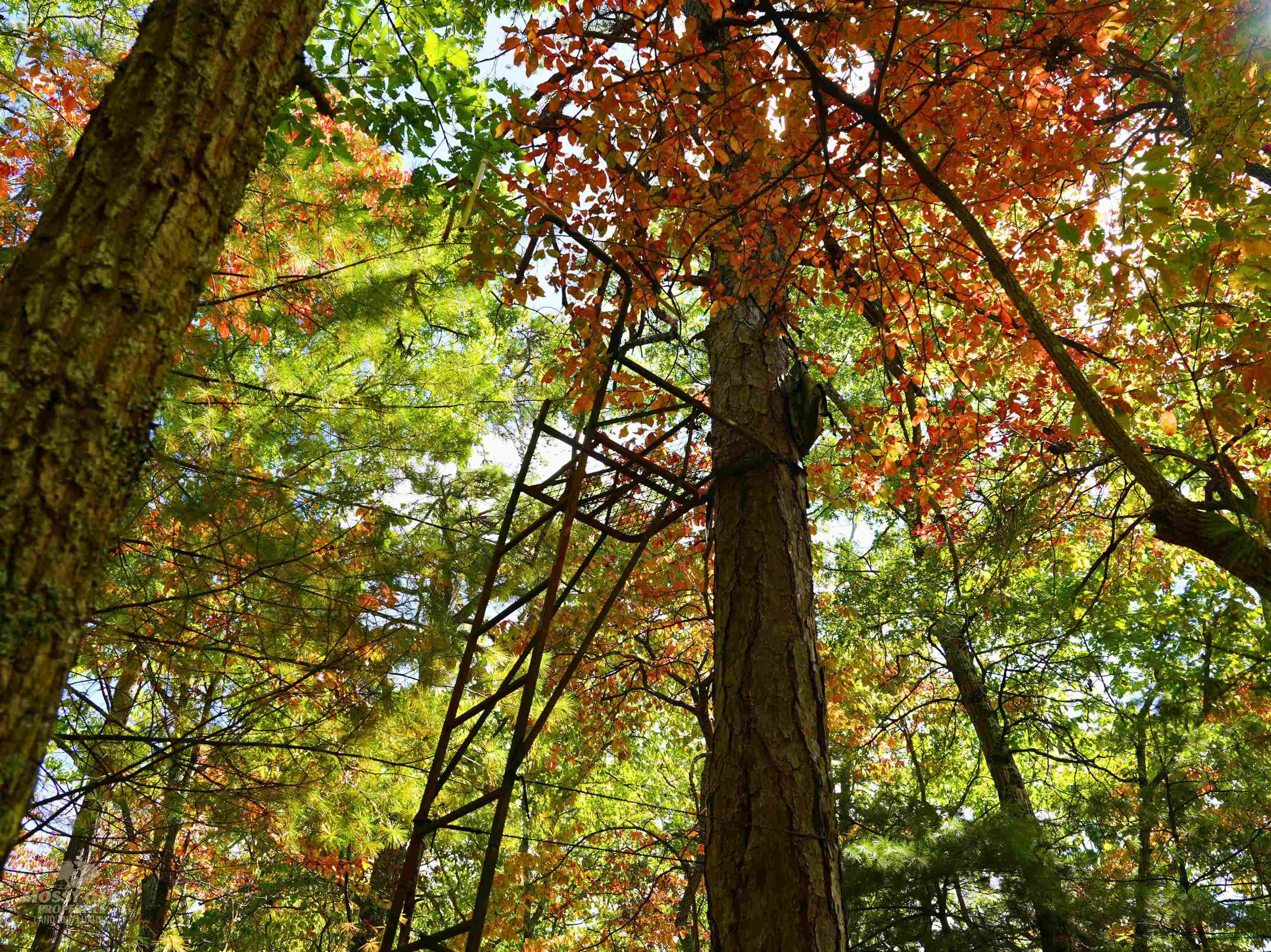 Tbd Dry Gulch Road Wytheville VA 24382